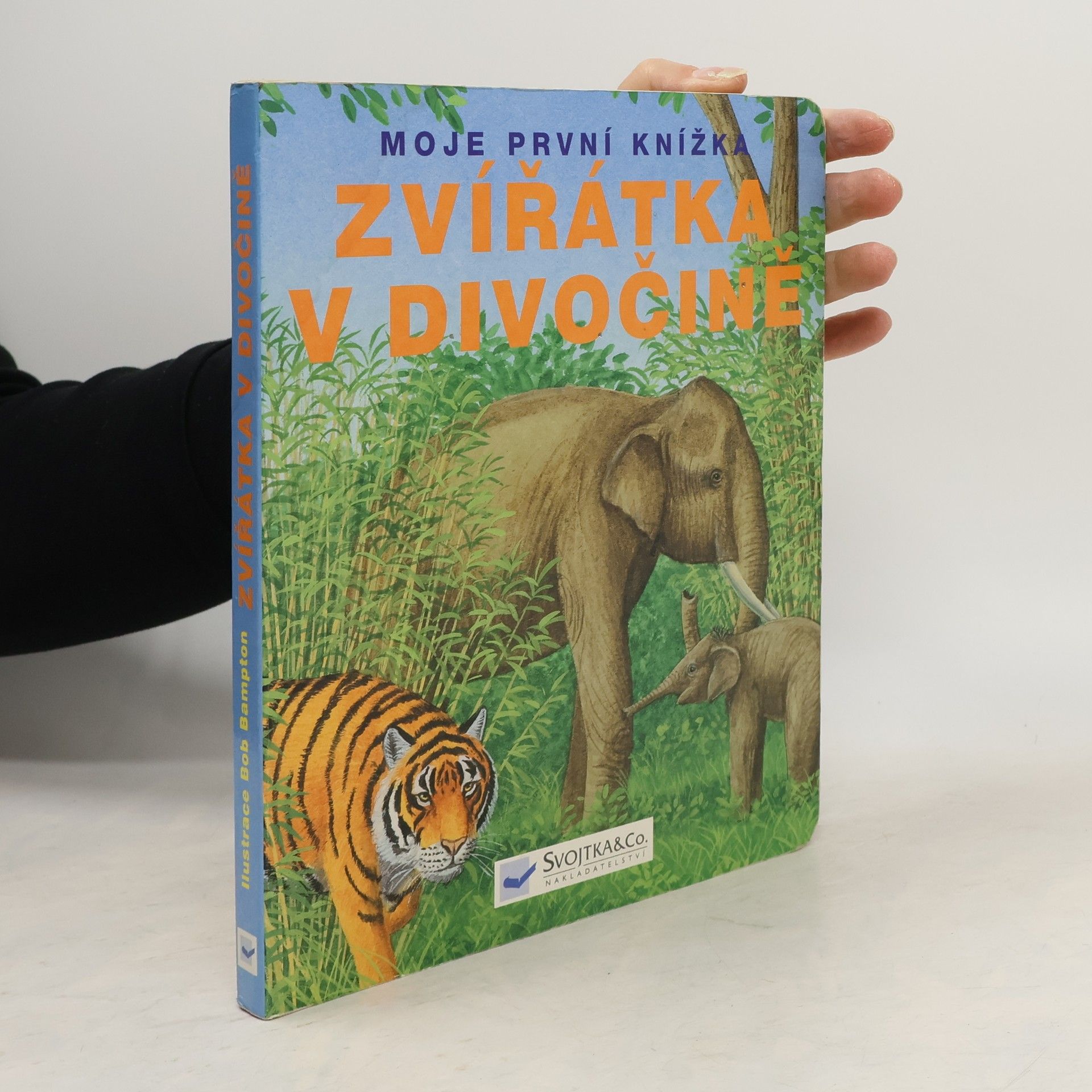 Kolektív autorov Zvířátka v divočině