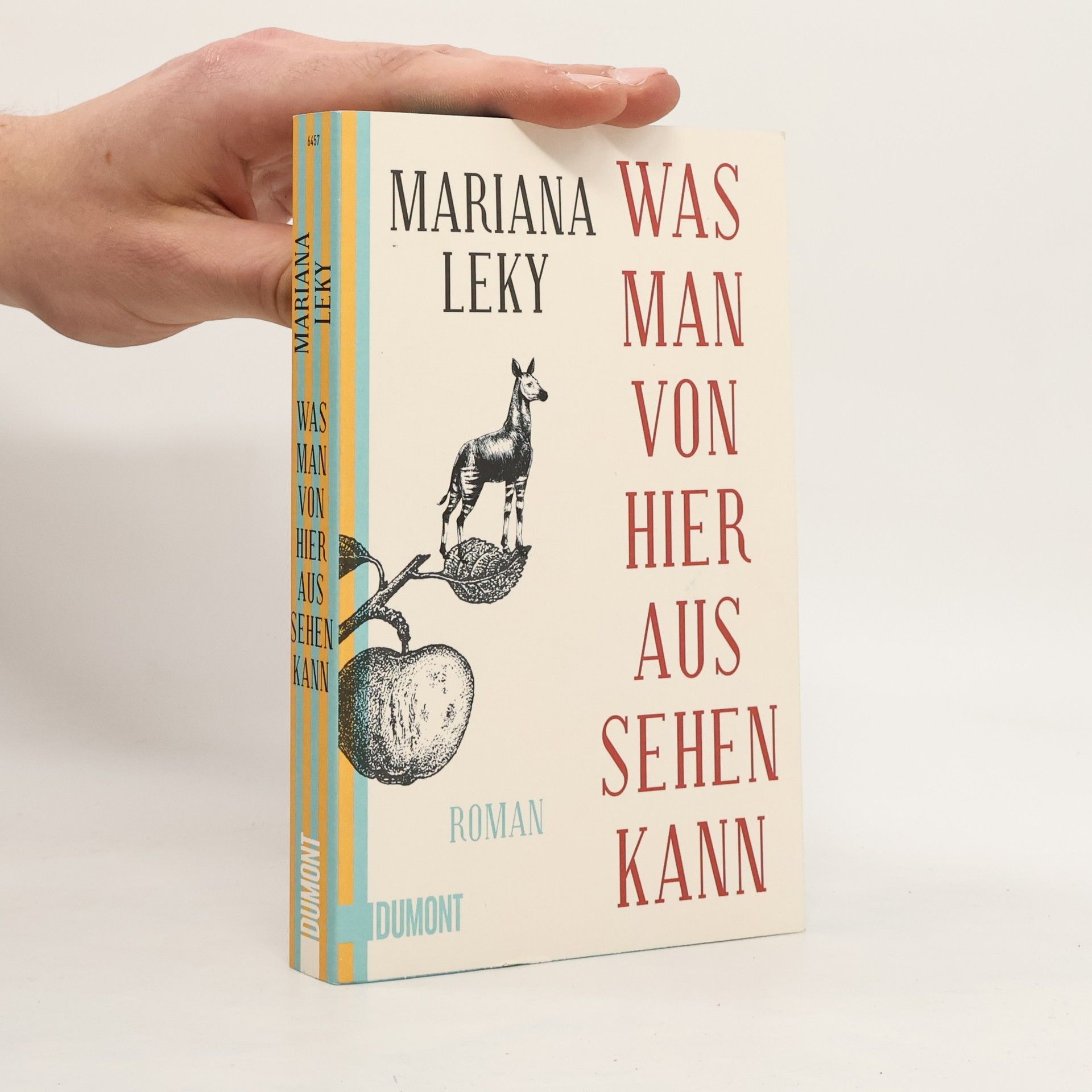 Mariana Leky Was man von hier aus sehen kann