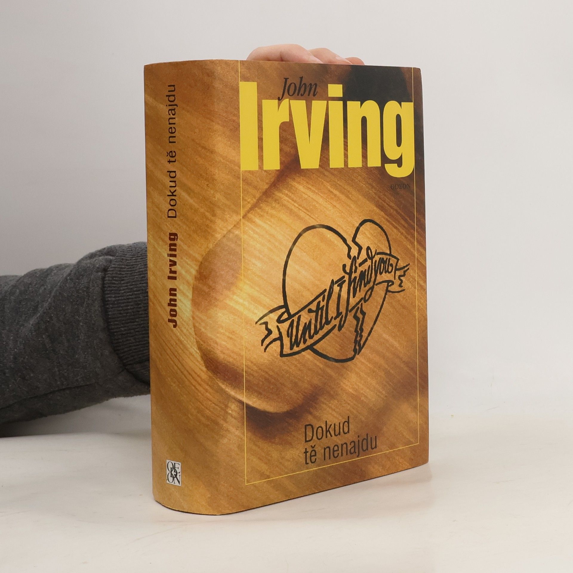 John Irving Dokud tě nenajdu