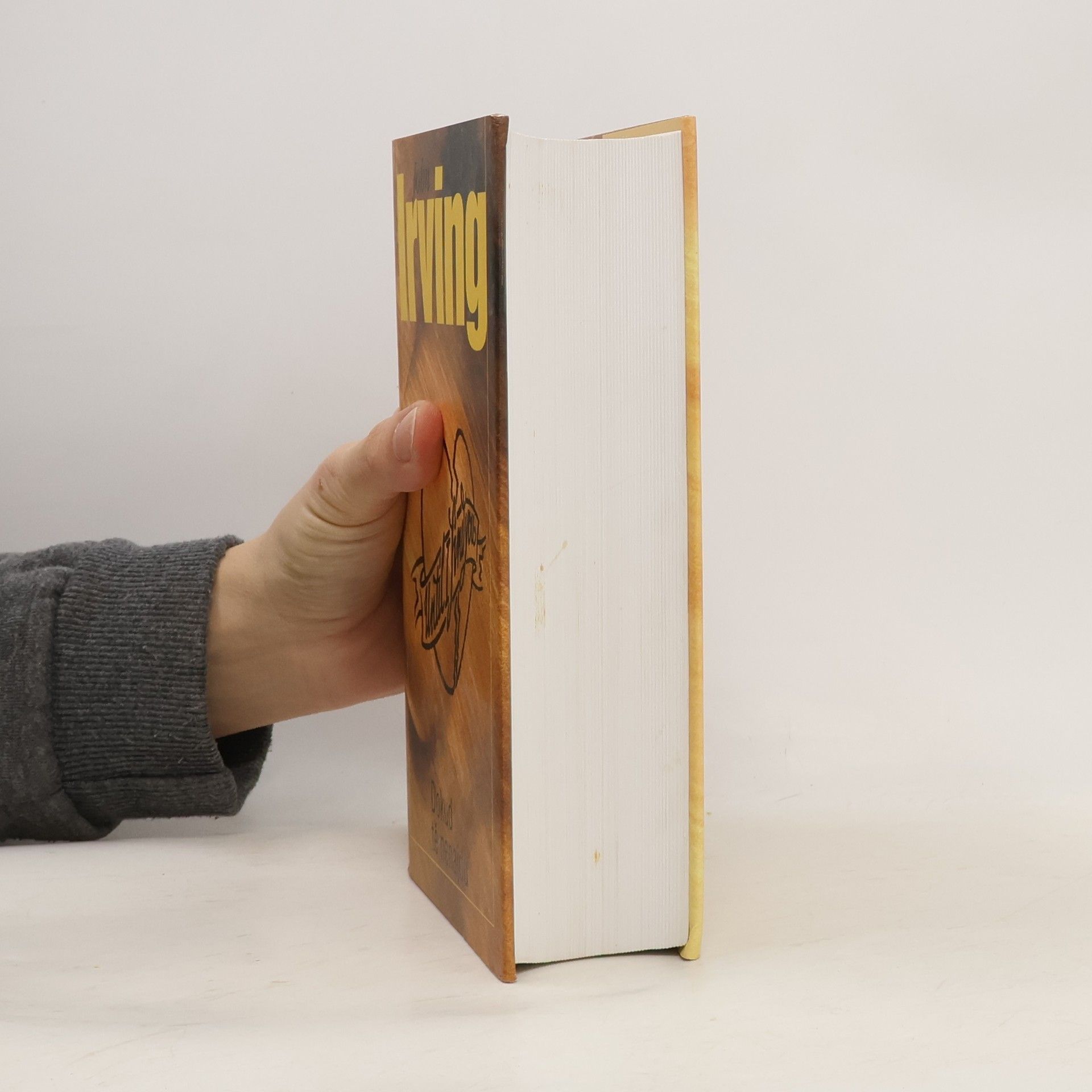 John Irving Dokud tě nenajdu
