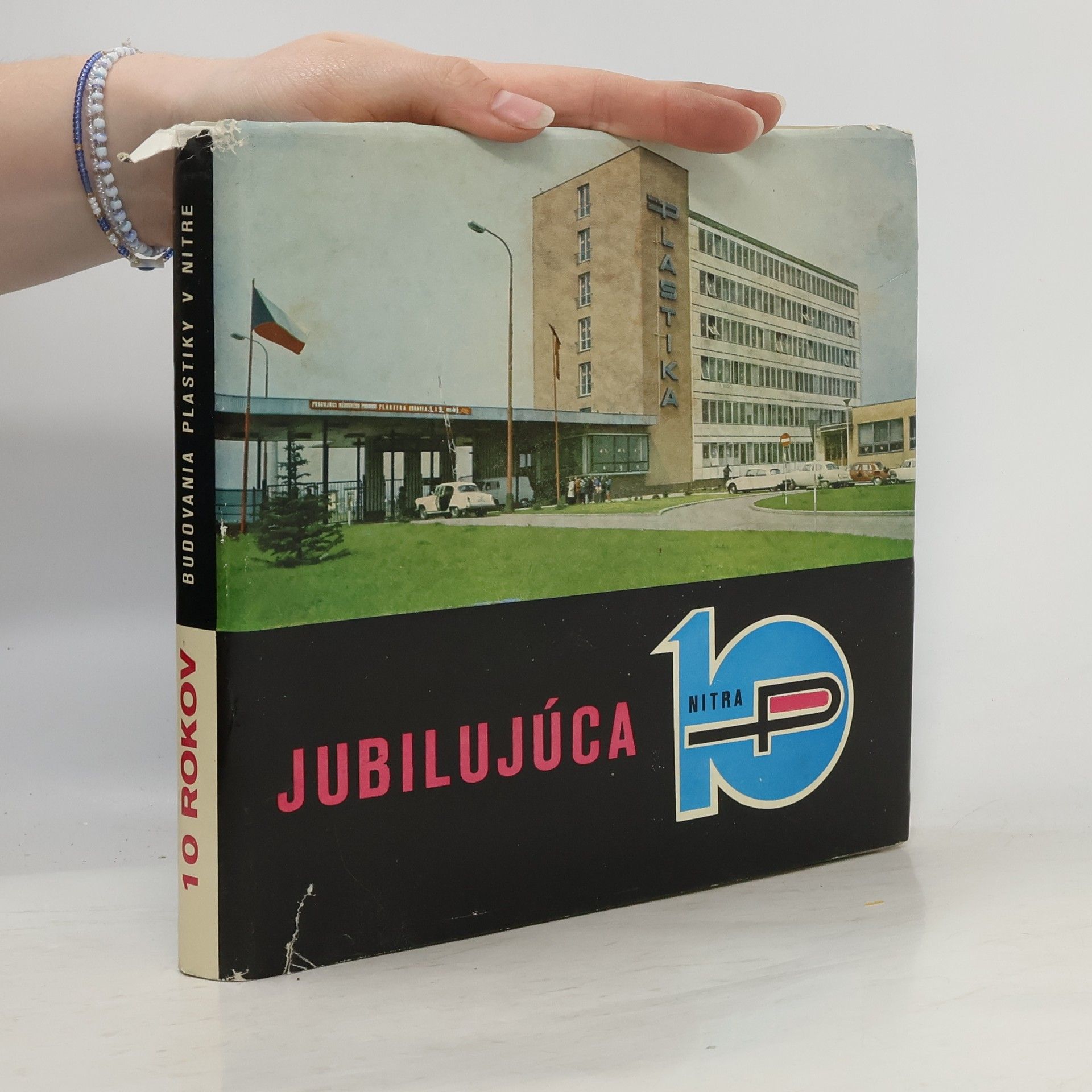 Kolektiv autorů 10 rokov budovania plastiky v Nitre