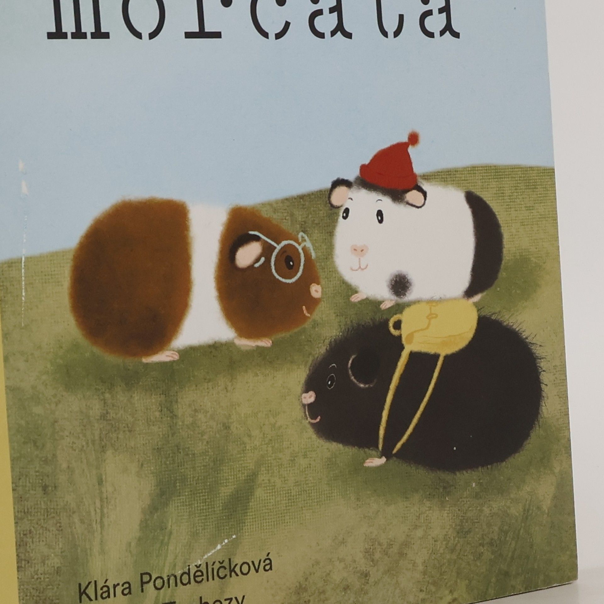 Klára Pondělíčková Co musejí morčata