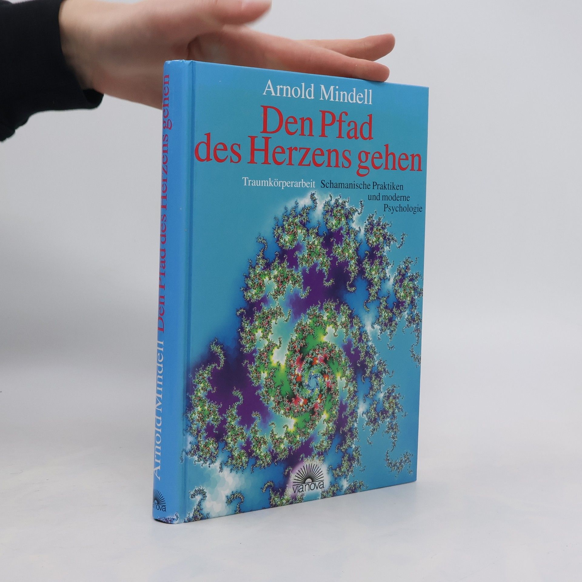 Arnold Mindell Den Pfad des Herzens gehen