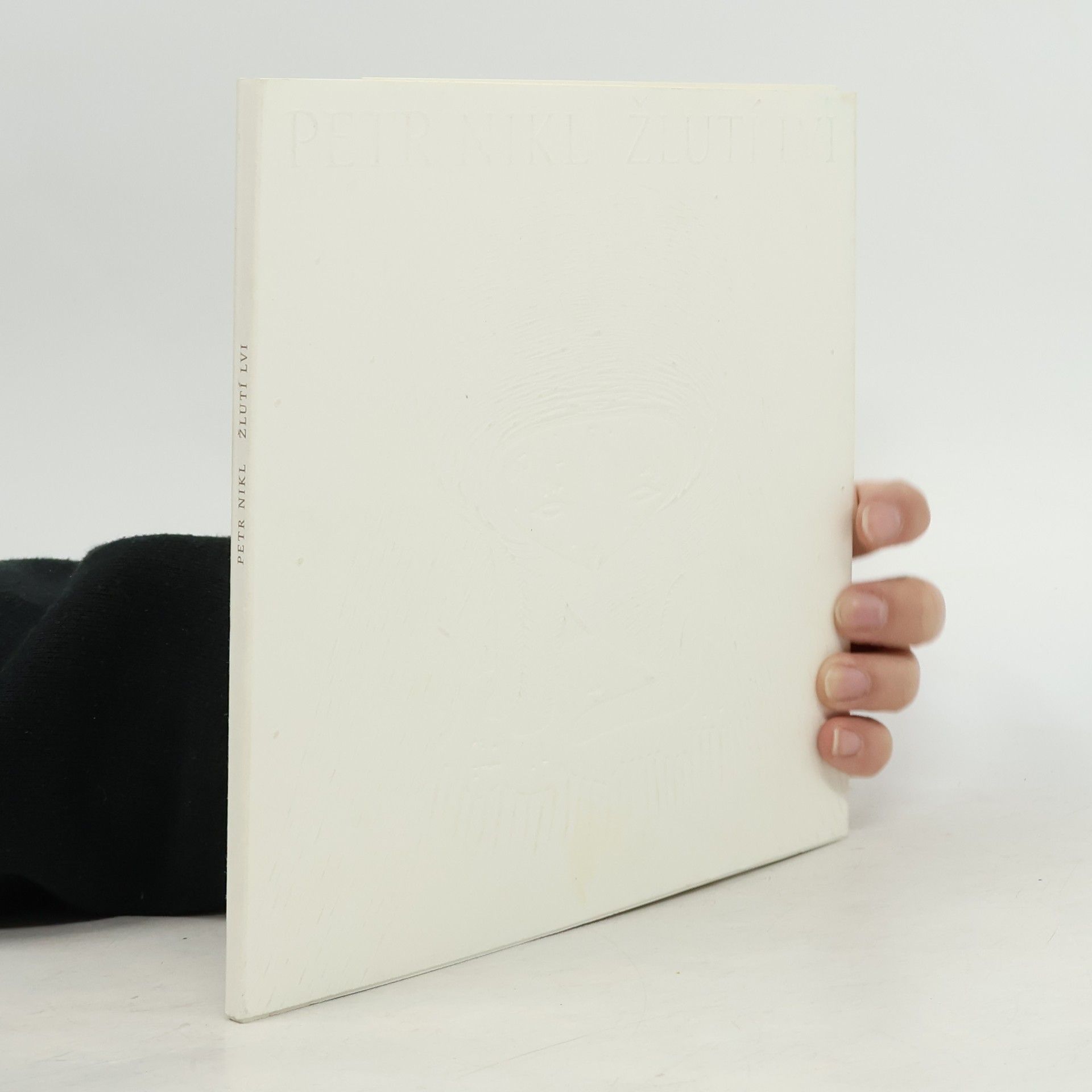 Petr Nikl Žlutí lvi