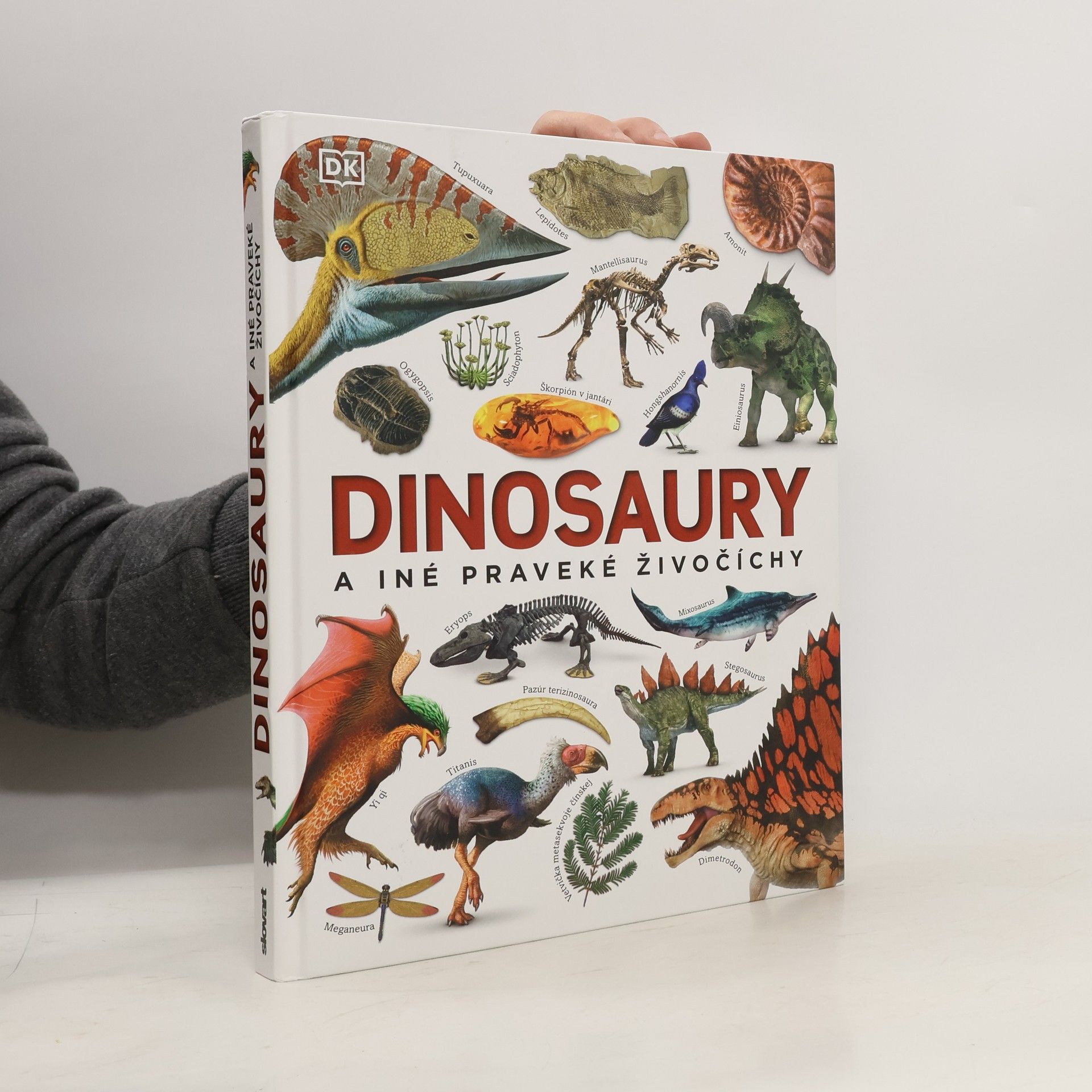 John Woodward Dinosaury a iné praveké živočíchy