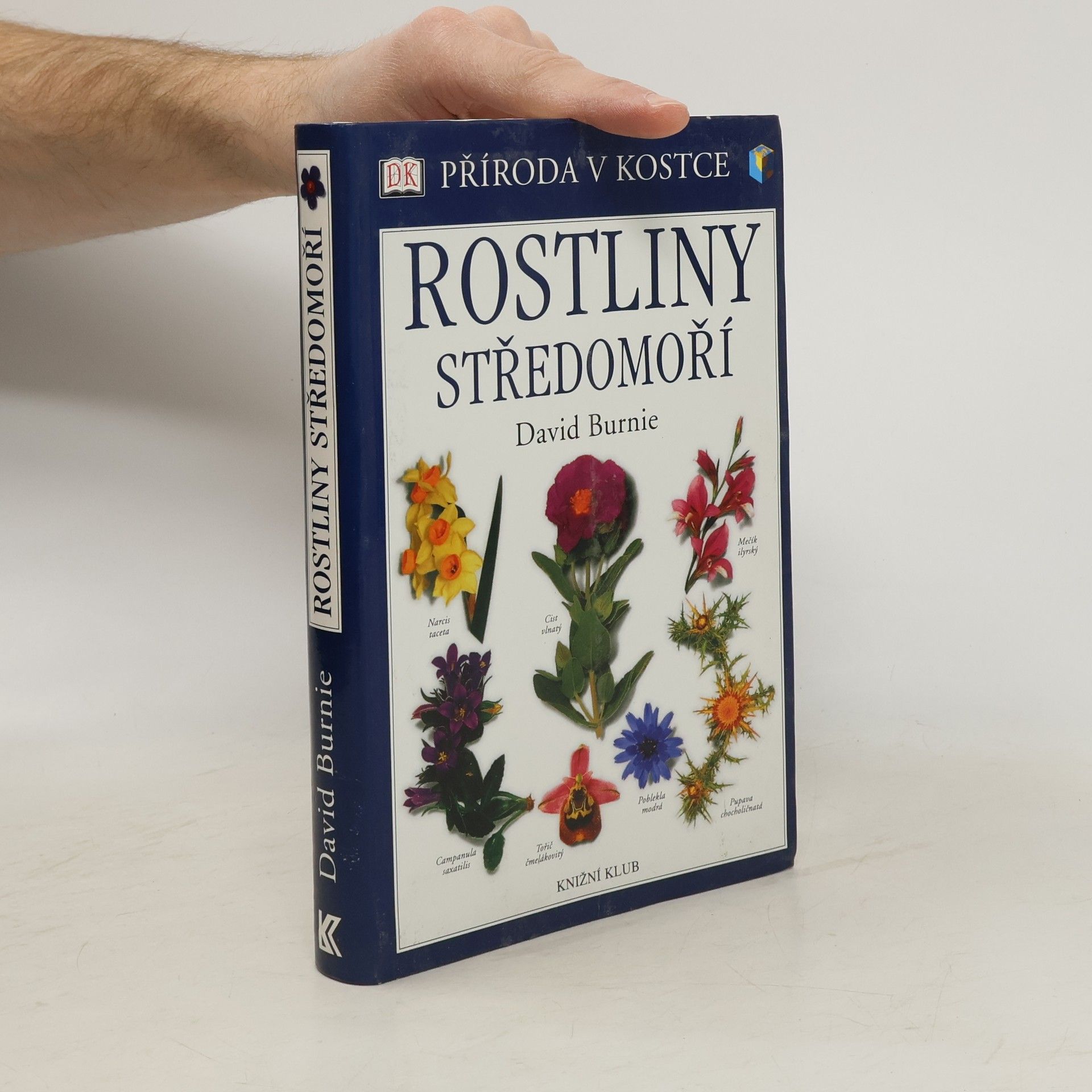 David Burnie Rostliny Středomoří