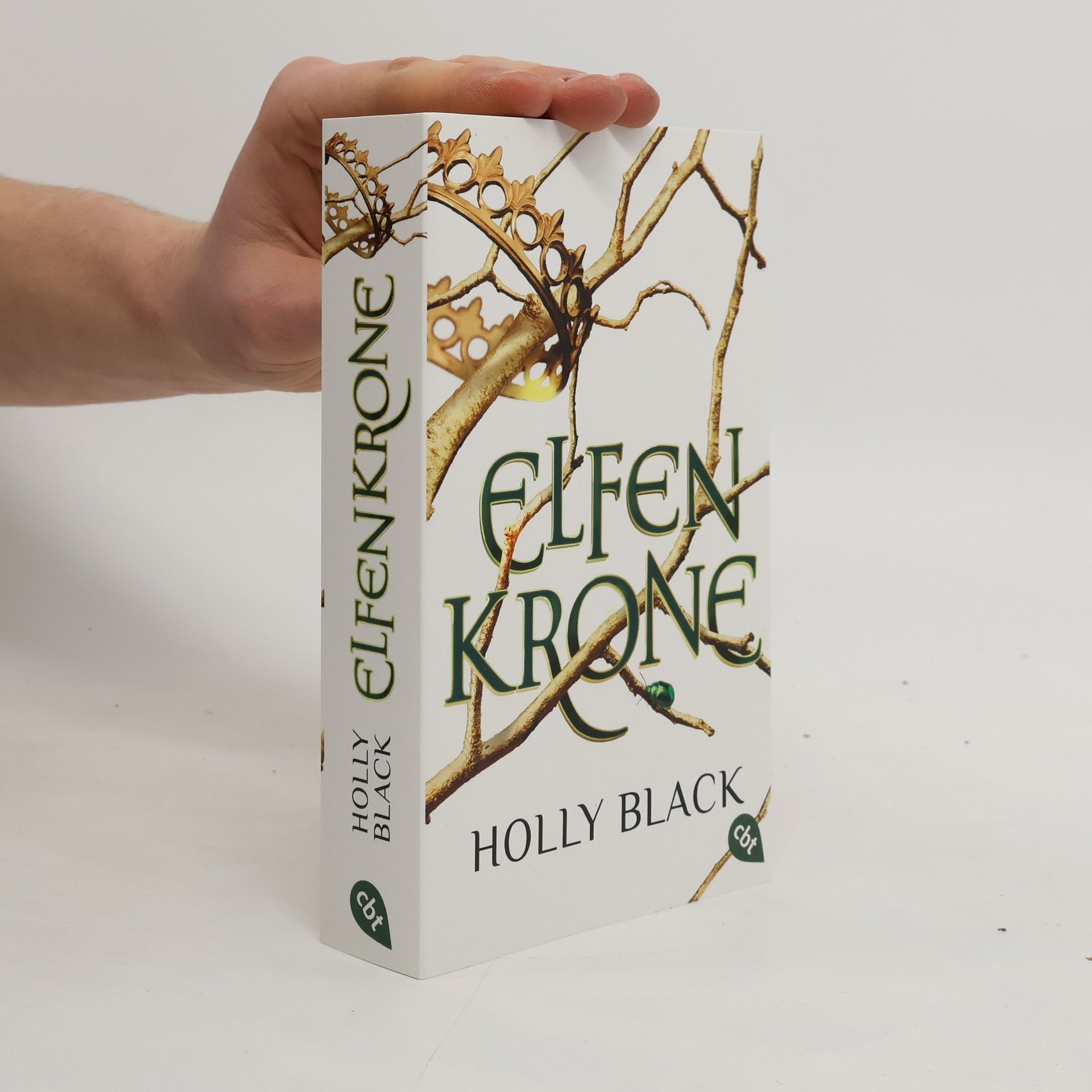 Holly Black Wie der König von Elfenheim lernte, Geschichten zu hassen