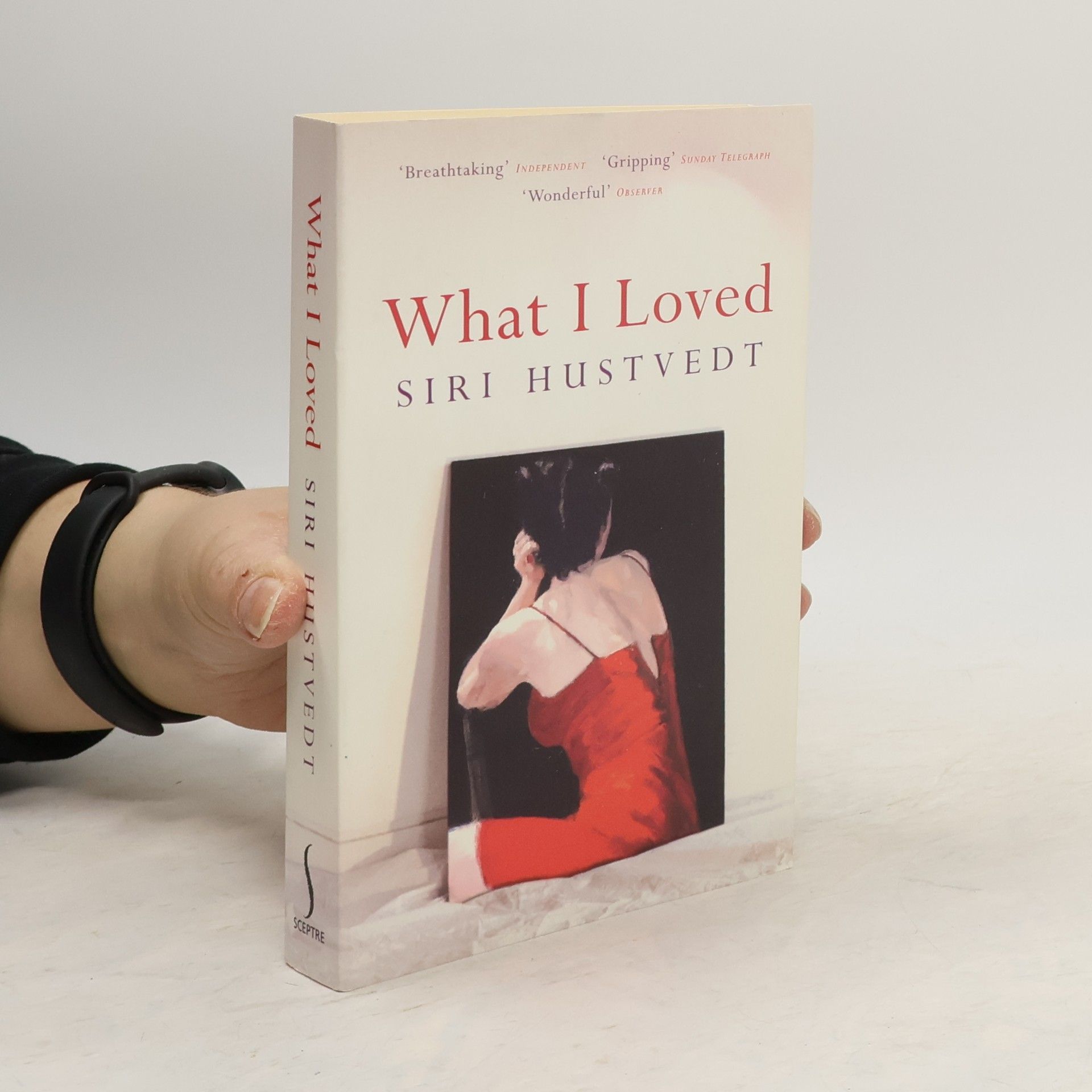 Siri Hustvedt What I Loved