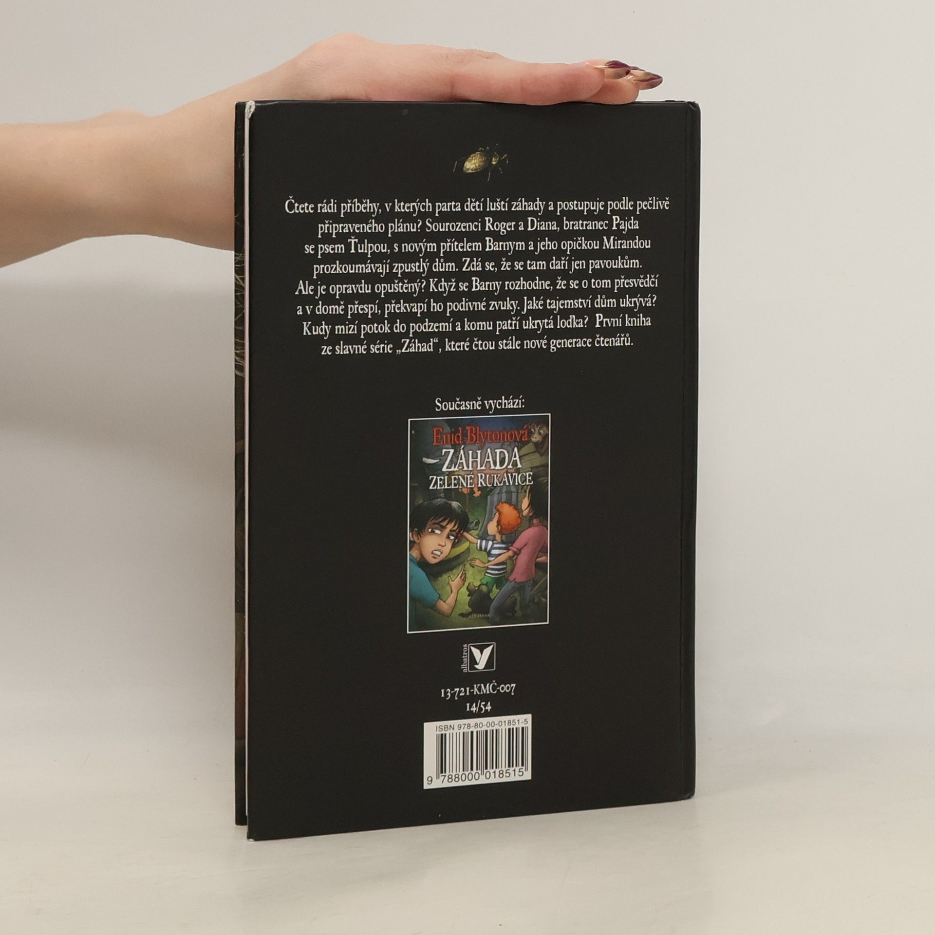 Enid Blyton Záhada Pavoučího domu