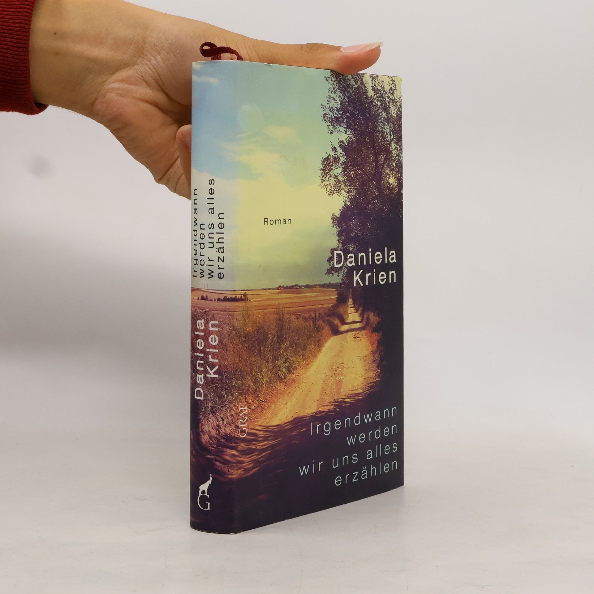 Daniela Krien Irgendwann werden wir uns alles erzählen