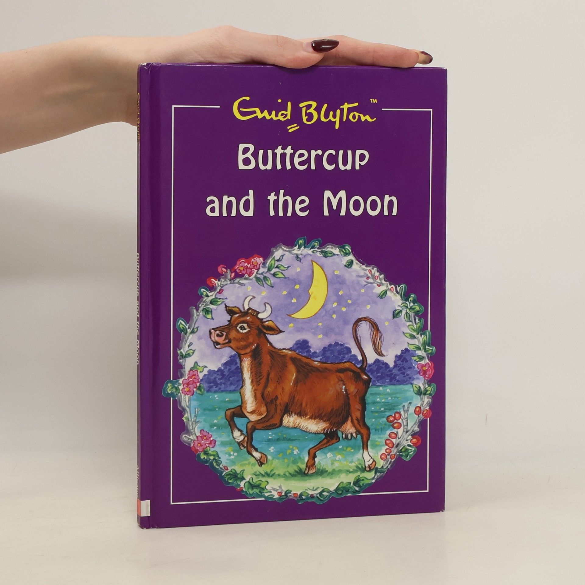 Enid Blyton Buttercup and the Moon