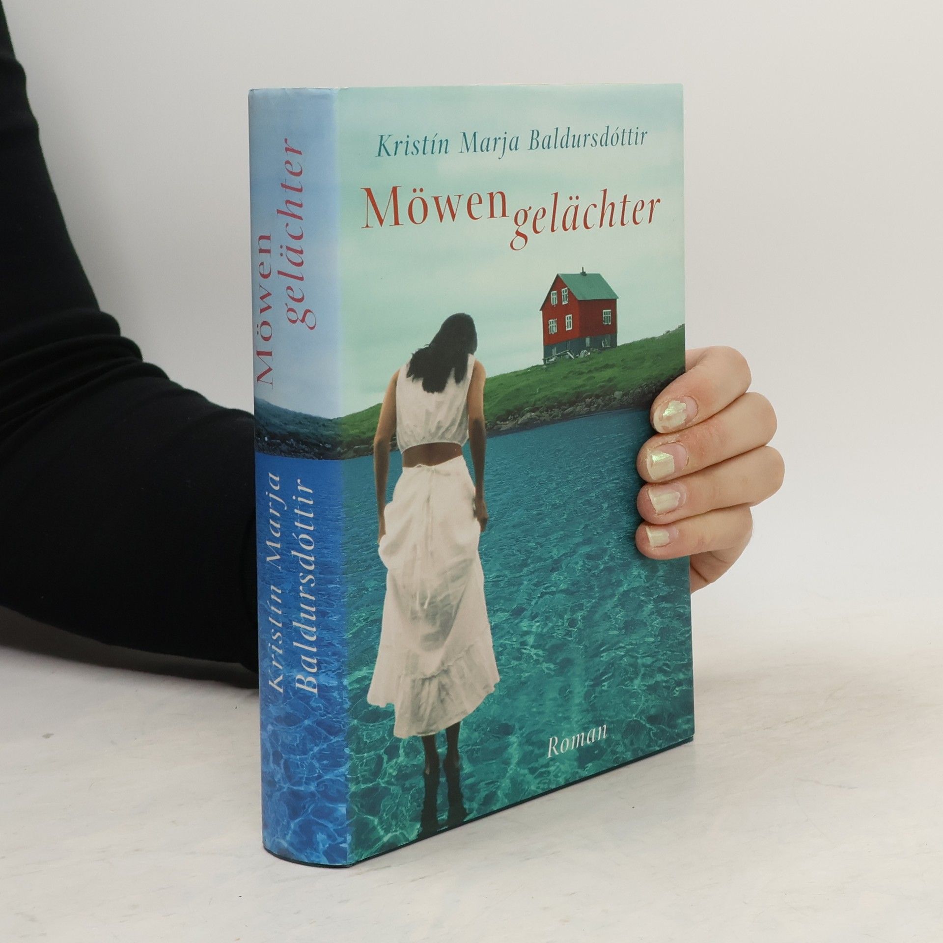 Kristín Marja Baldursdóttir Möwengelächter