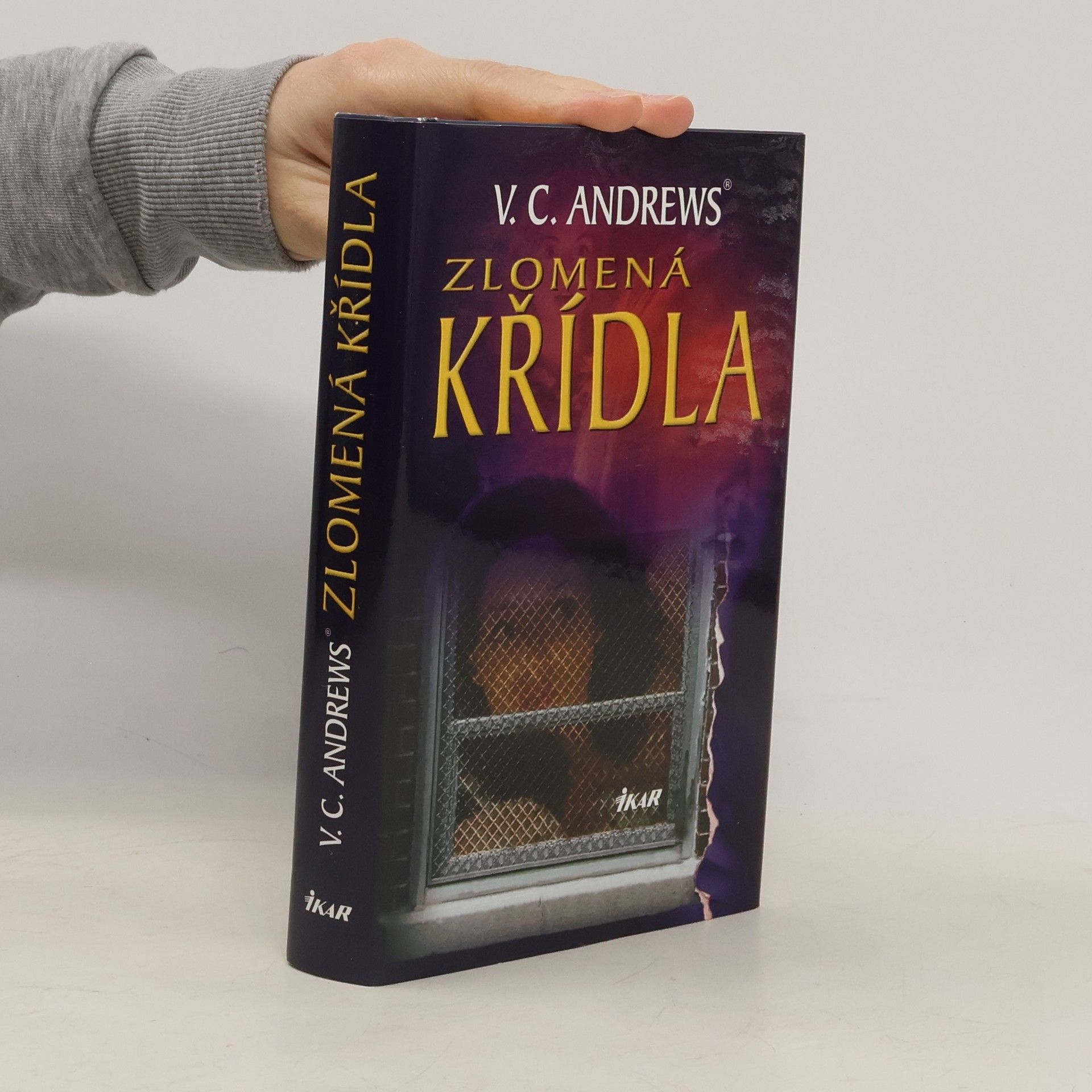 Virginia C. Andrewsová Zlomená křídla