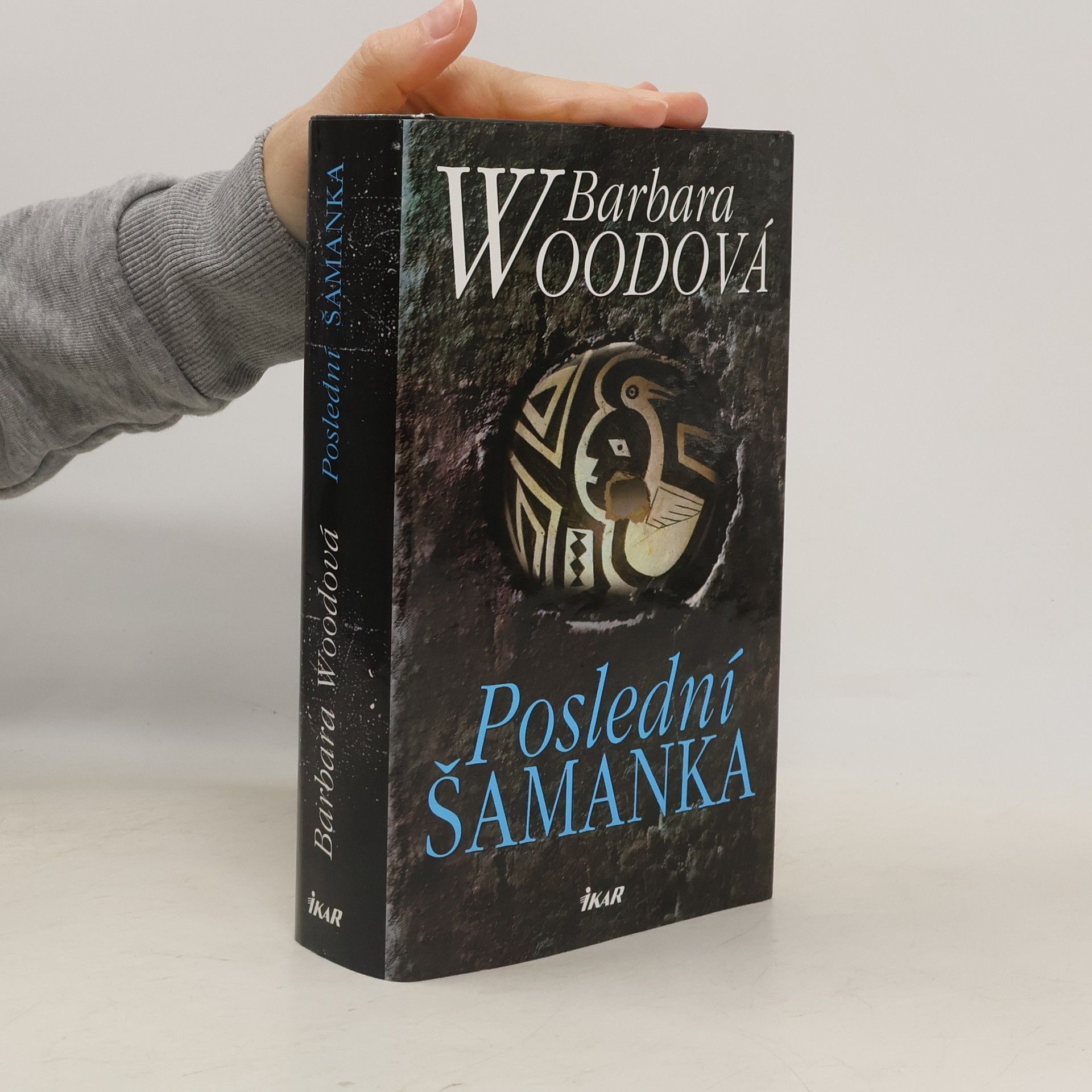 Barbara Wood Poslední šamanka