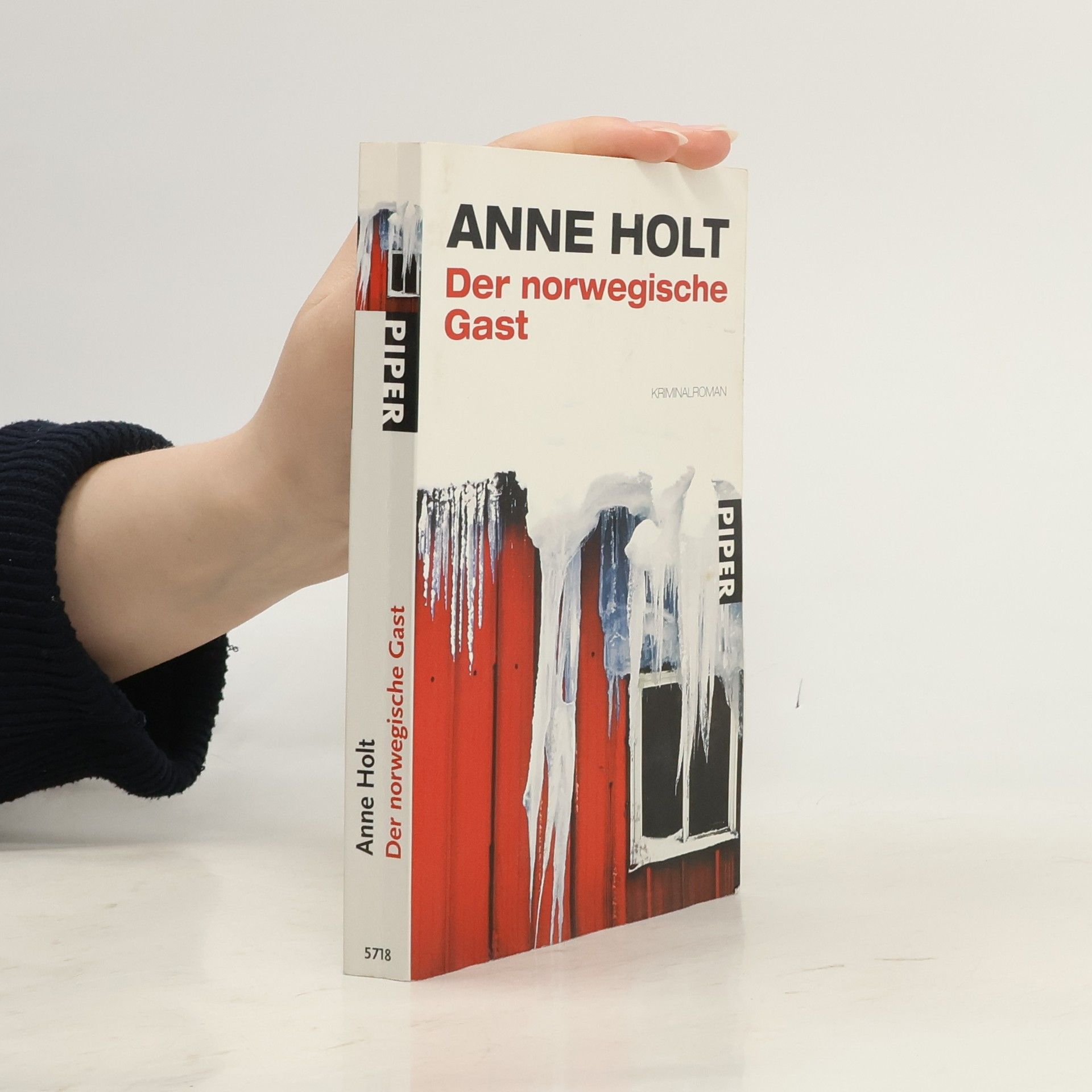 Anne Holt Der norwegische Gast