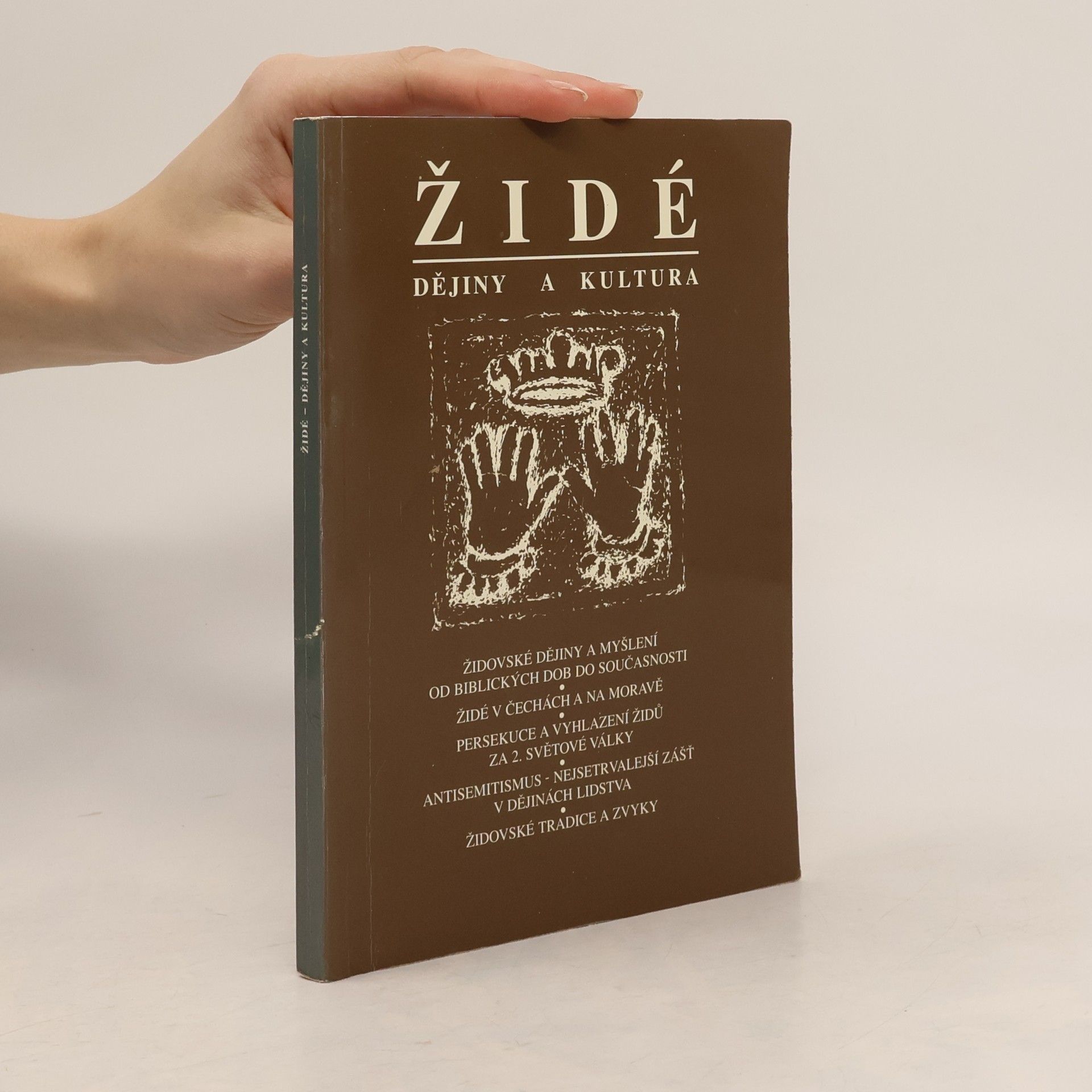 Kolektív autorov Židé. Dějiny a kultura