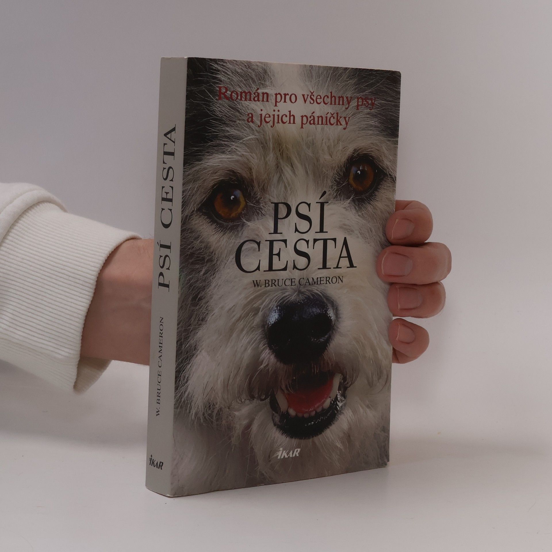 W. Bruce Cameron Psí cesta