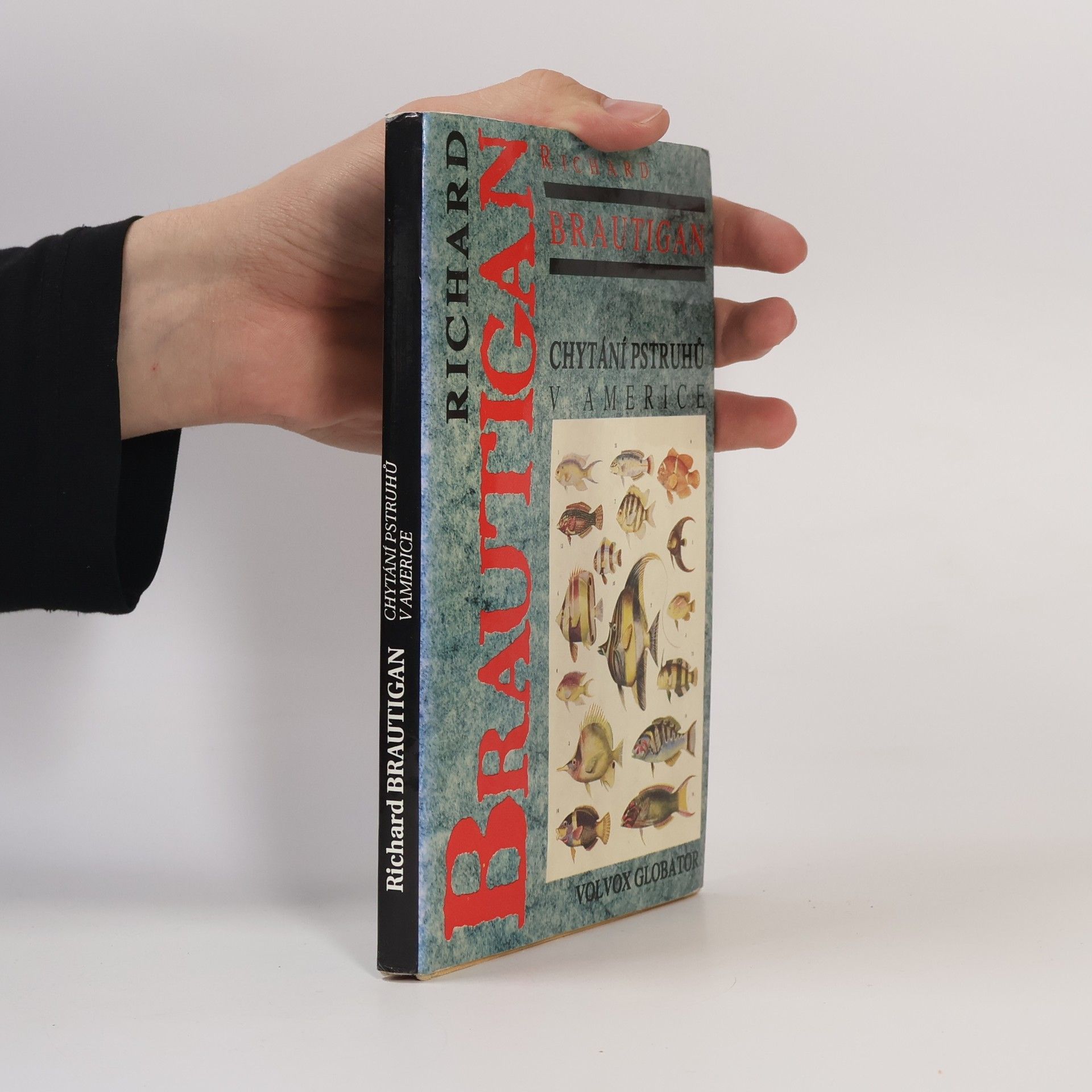 Richard Brautigan Chytání pstruhů v Americe