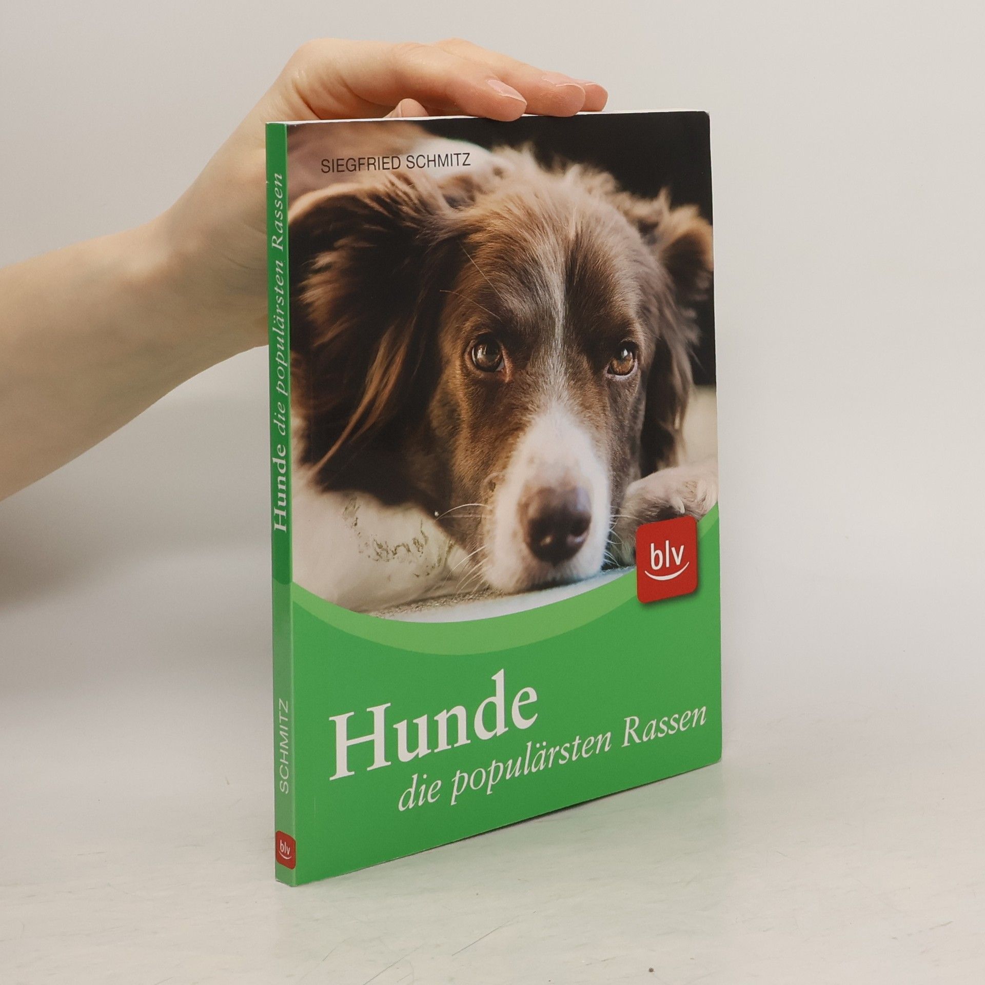 Siegfried Schmitz Hunde - die populärsten Rassen