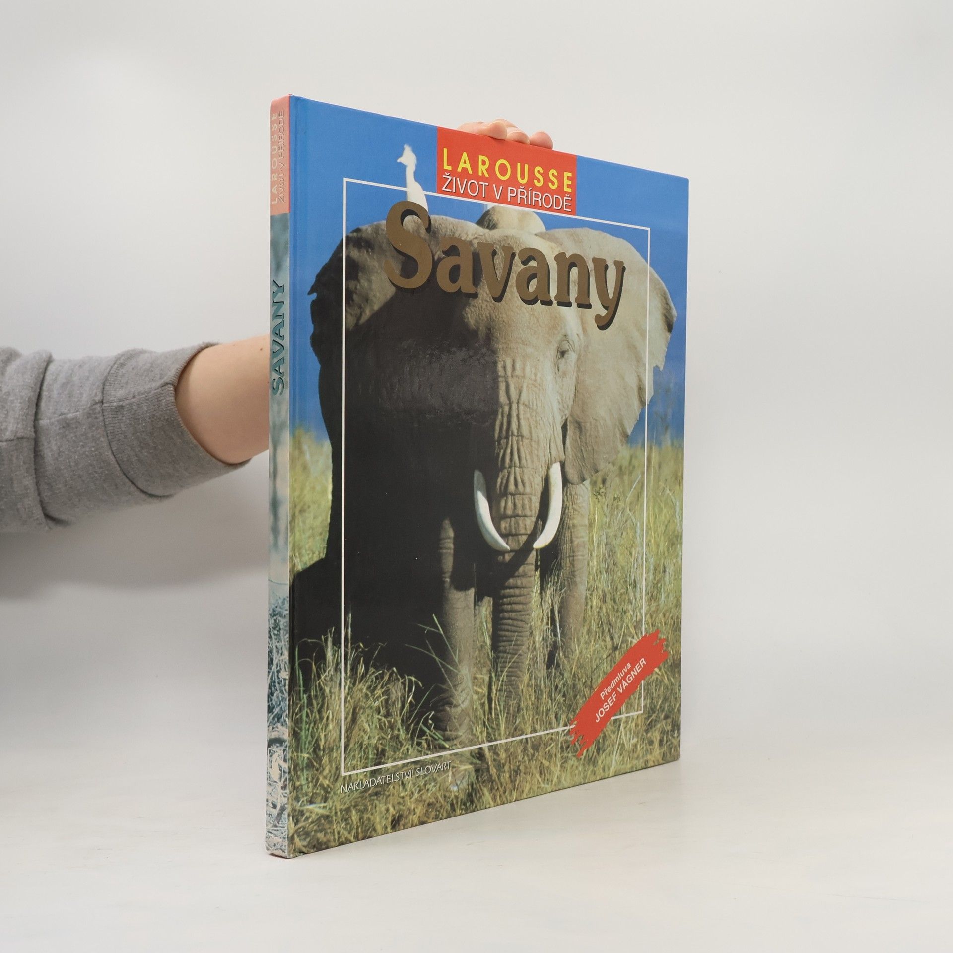 Šárka Belisová Savany