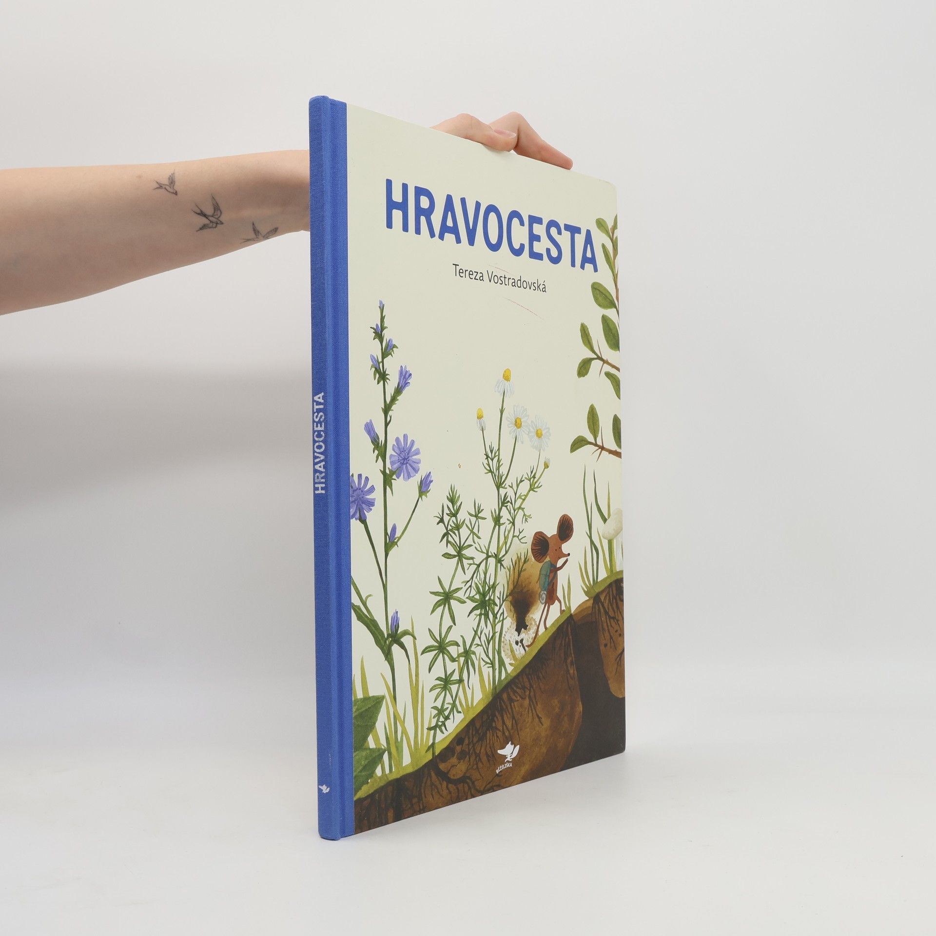 Tereza Vostradovská Hravocesta