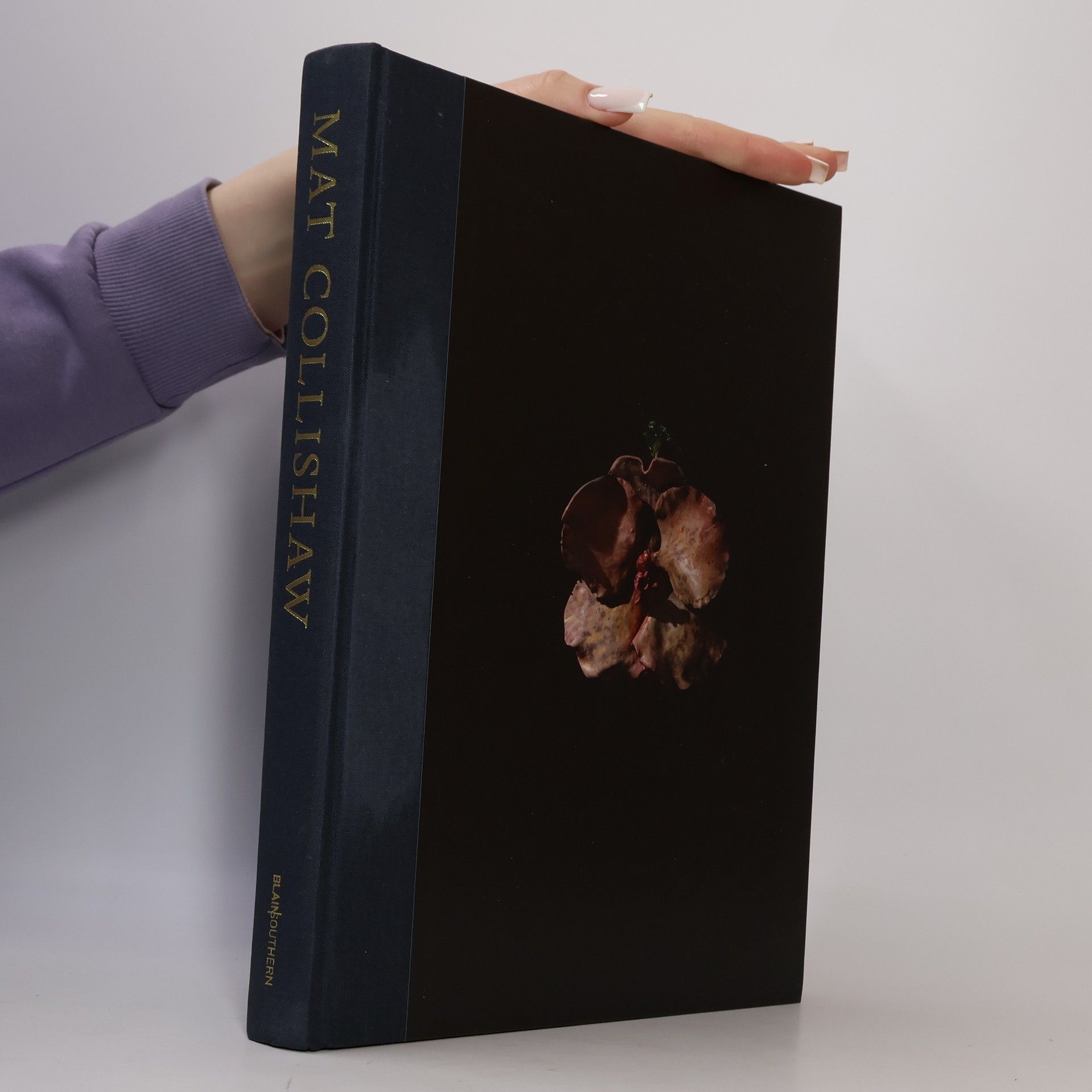 Mat Collishaw Mat Collishaw