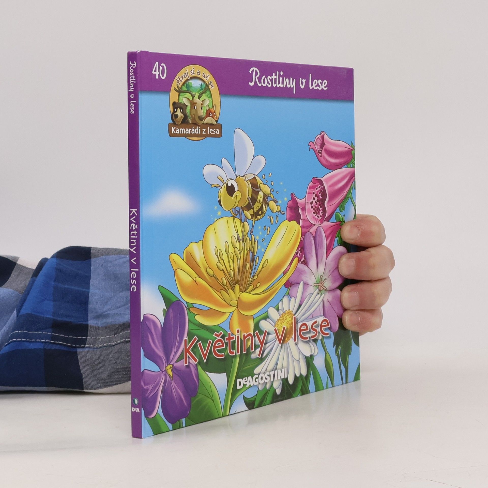 Autorenkollektiv Rostliny v lese 40. Květiny v lese