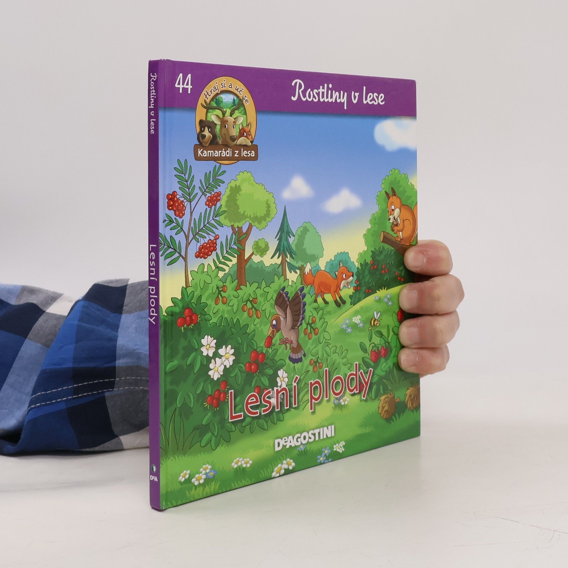 Miluše Rysová Rostliny v lese 44. Lesní plody