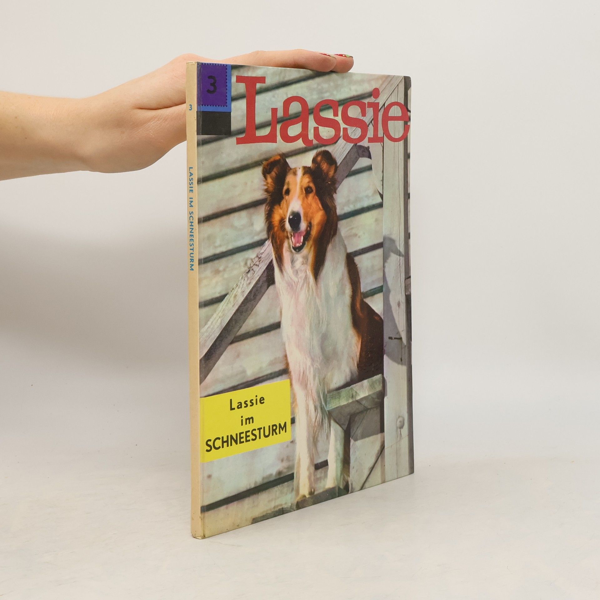 Henri Arnoldus Lassie im Schneesturm 3