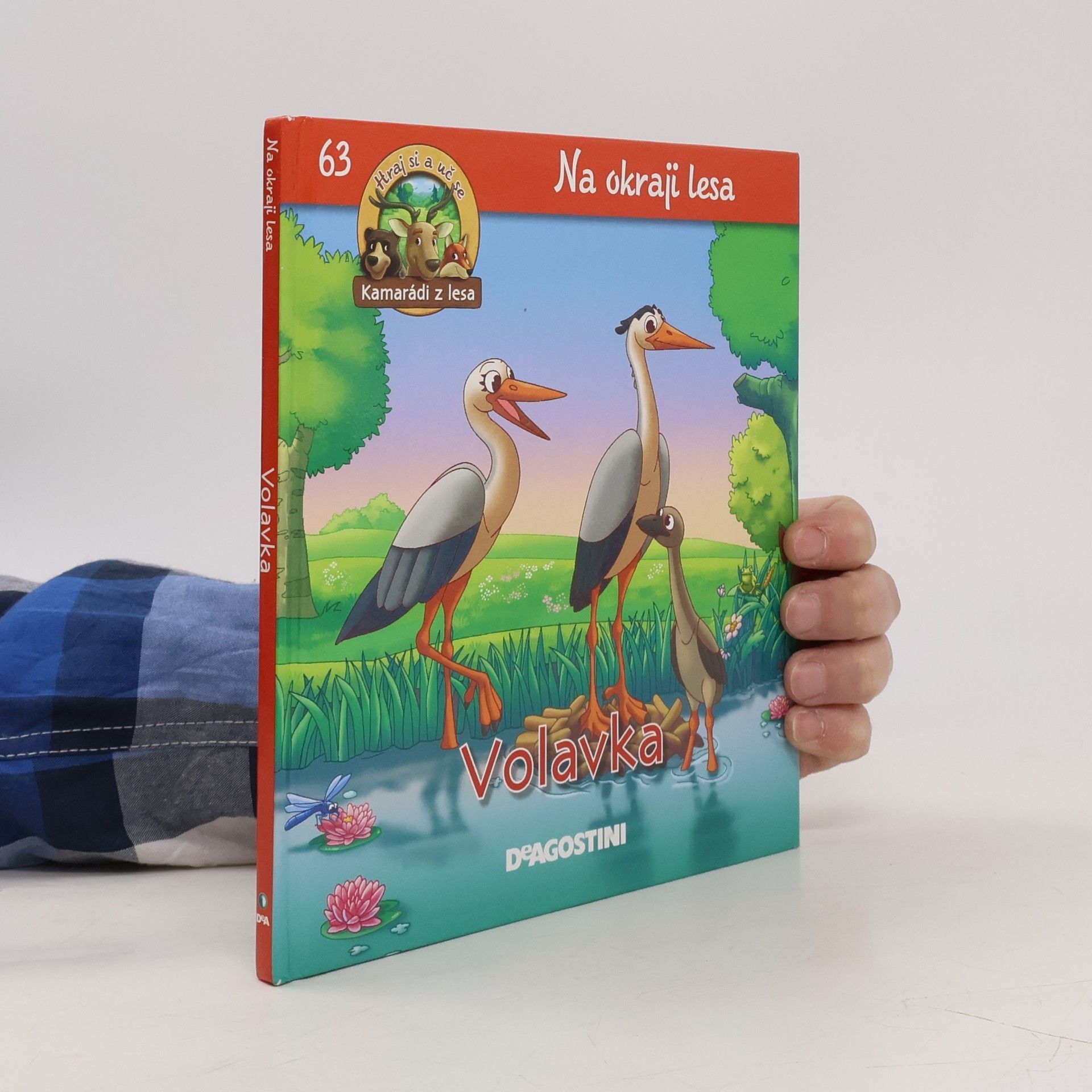 Kolektiv autorů Na okraji lesa 63. Volavka