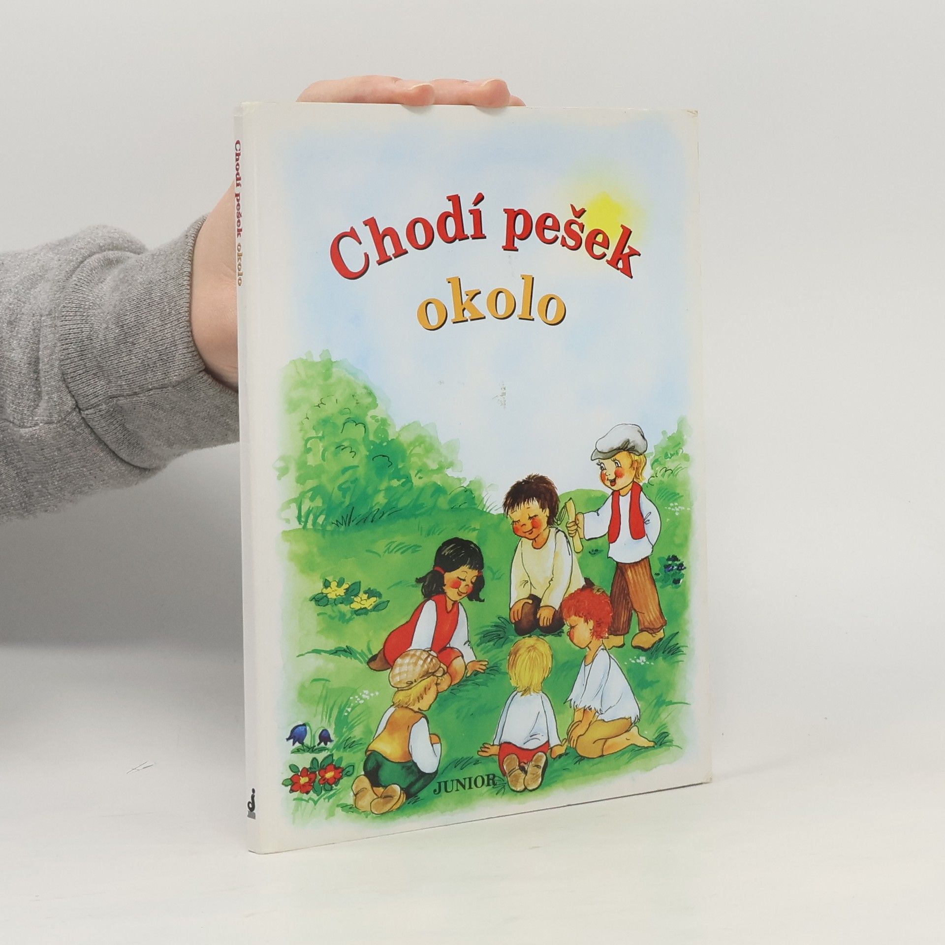 Vladimíra Vopičková Chodí pešek okolo (leporelo)