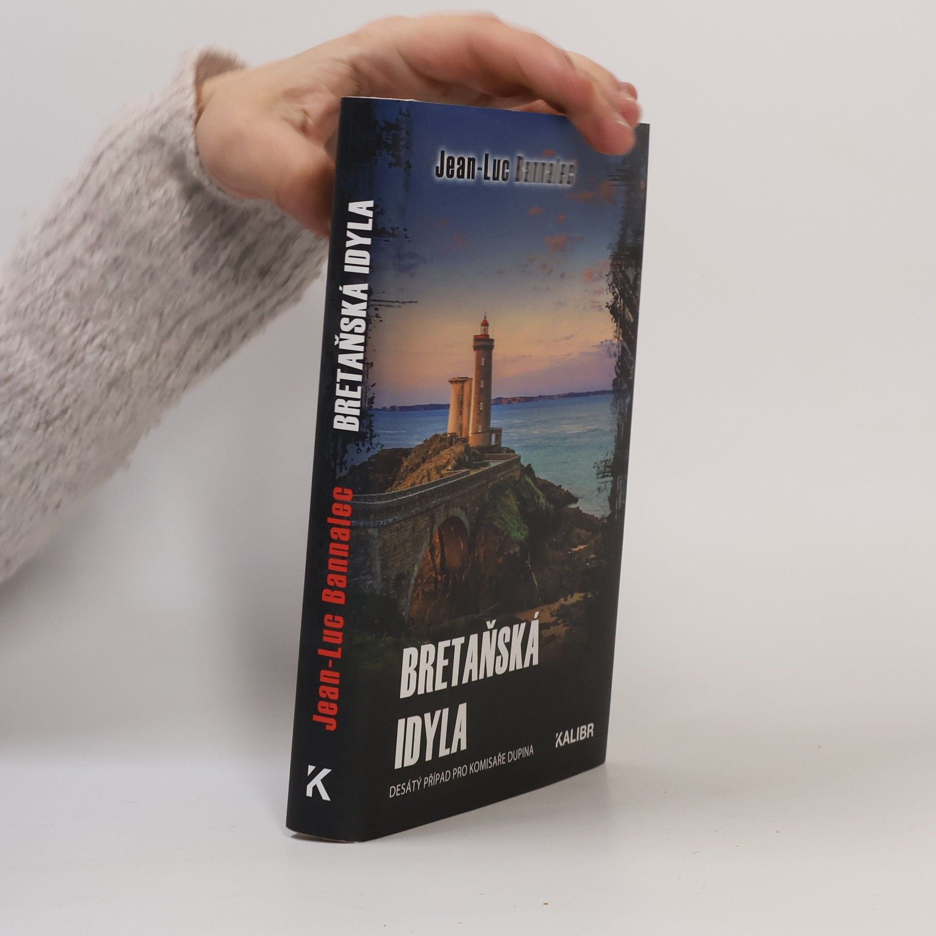 Jörg Bong Bretaňská idyla : desátý případ pro komisaře Dupina