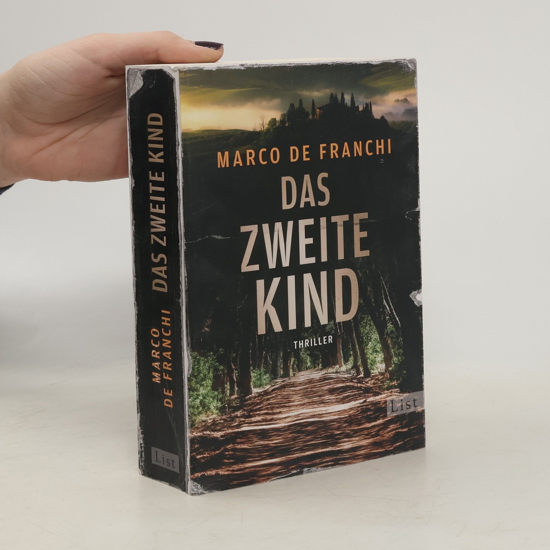Marco De Franchi Das zweite Kind. Thriller | Der düstere Krimi-Bestseller aus Italien