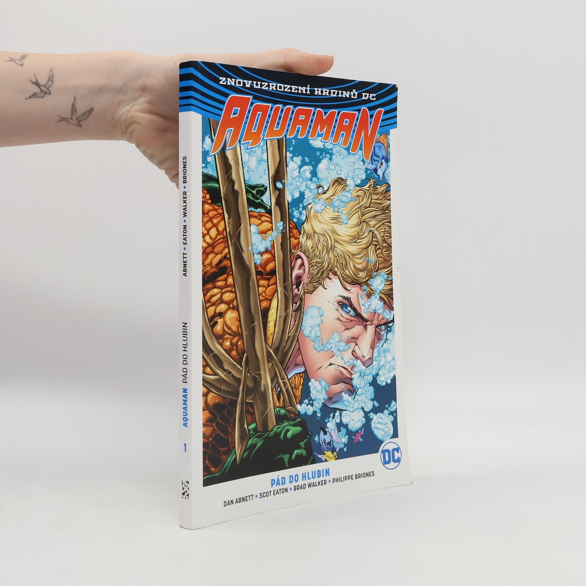 Collectif d'auteurs Aquaman Pád do hlubin