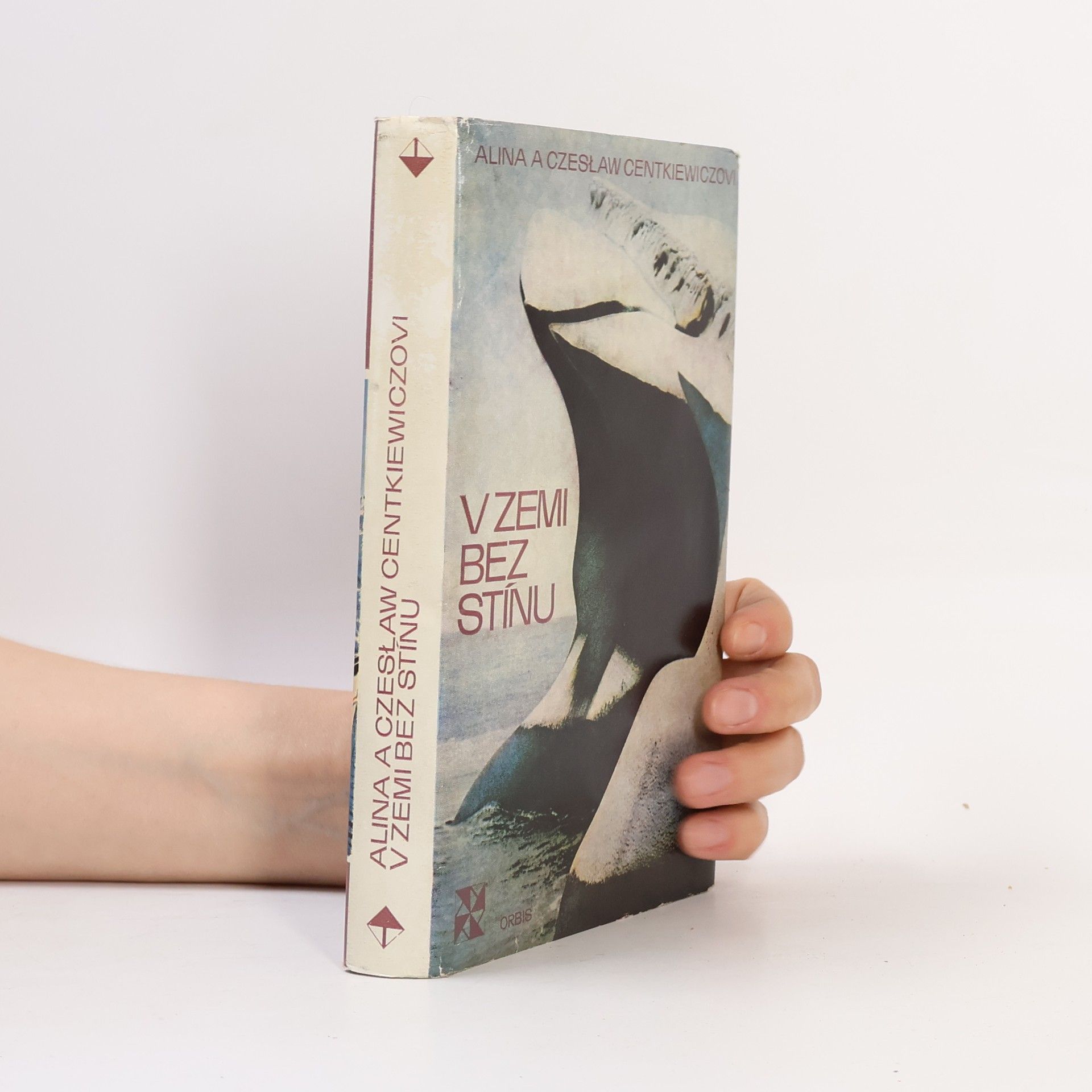 Alina Centkiewiczowa V zemi bez stínu