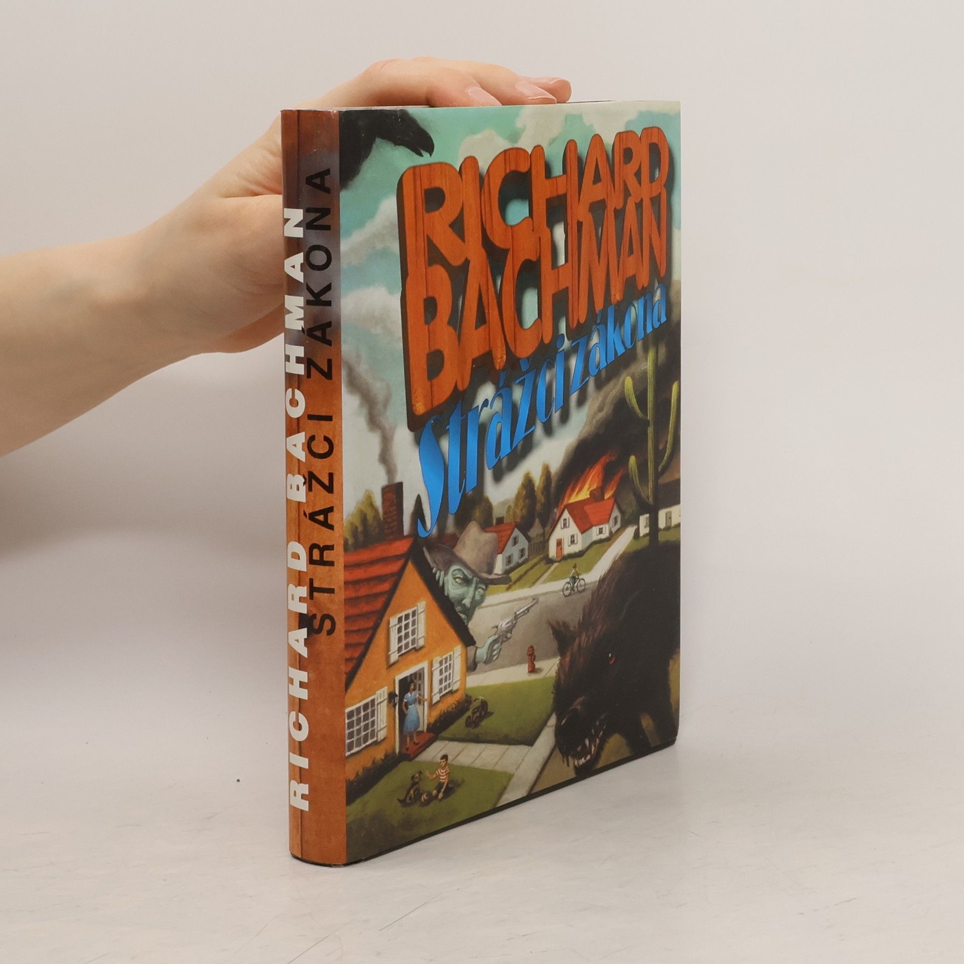 Stephen King Strážci zákona