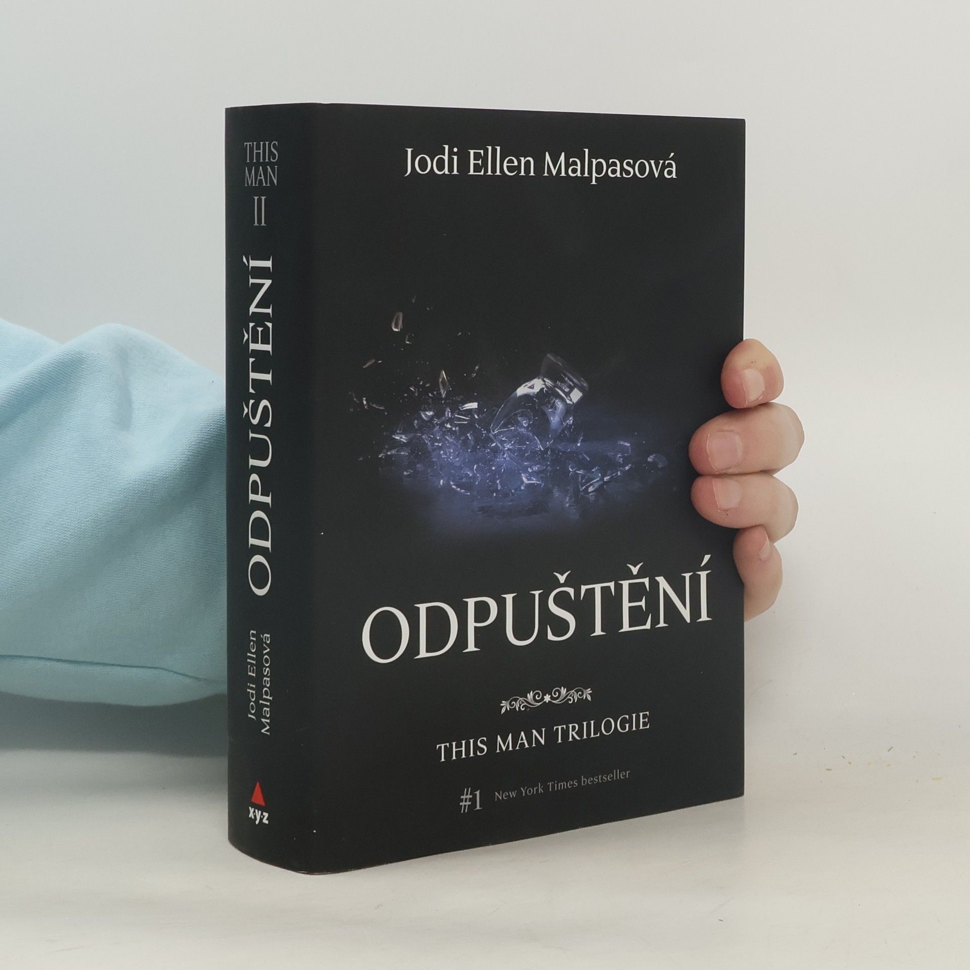 Jodi Ellen Malpas This man trilogie : Odpuštění