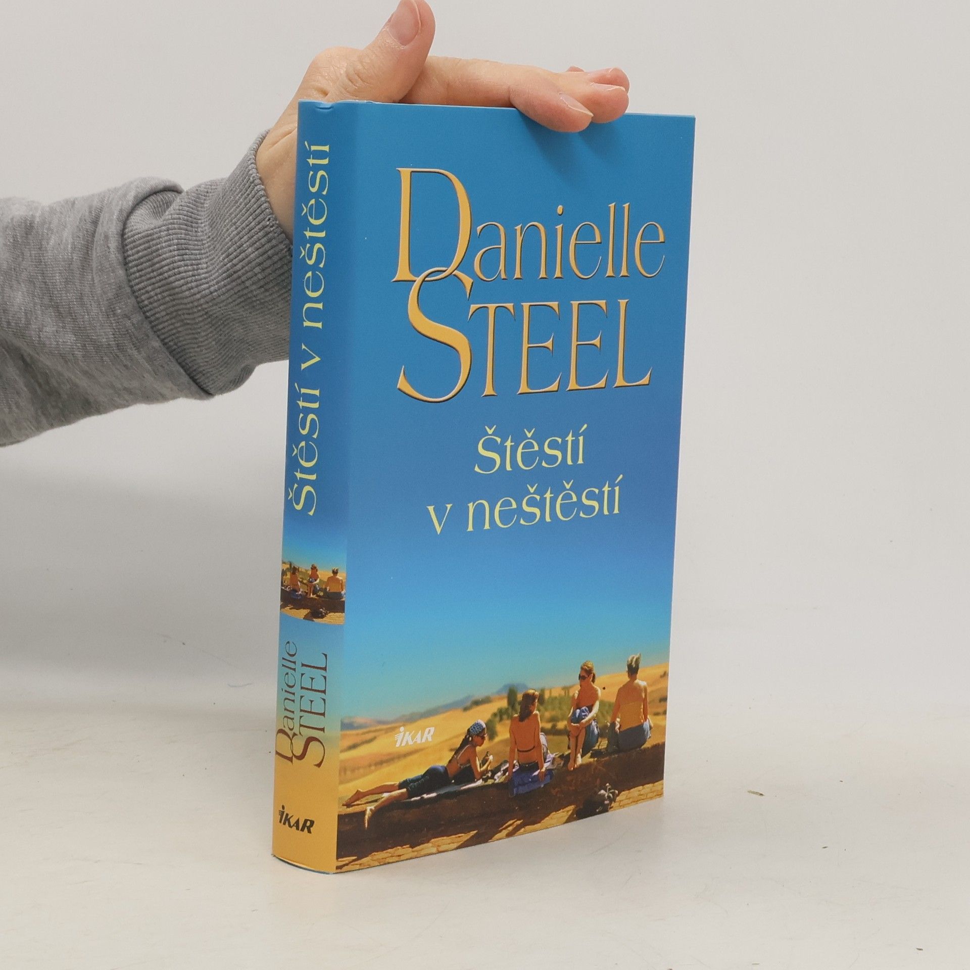 Danielle Steel Štěstí v neštěstí
