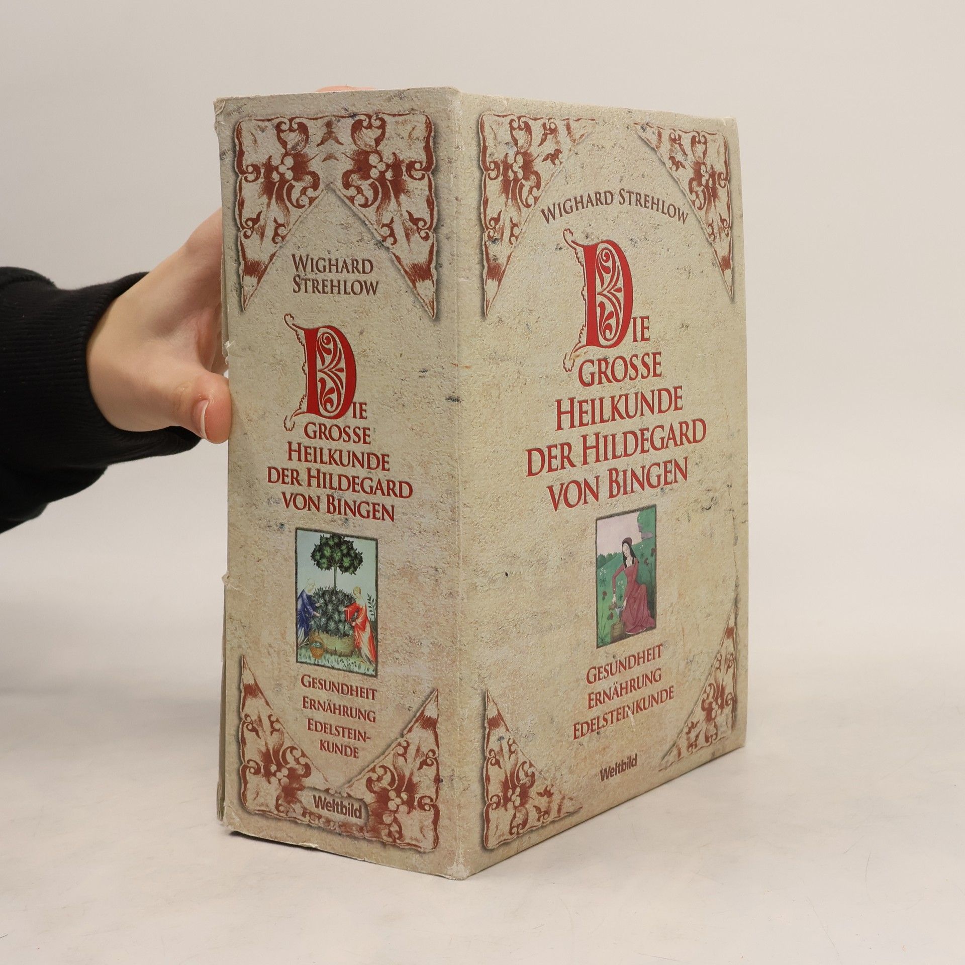 Wighard Strehlow Die Grosse Heilkunde Der Hildegard von Bingen