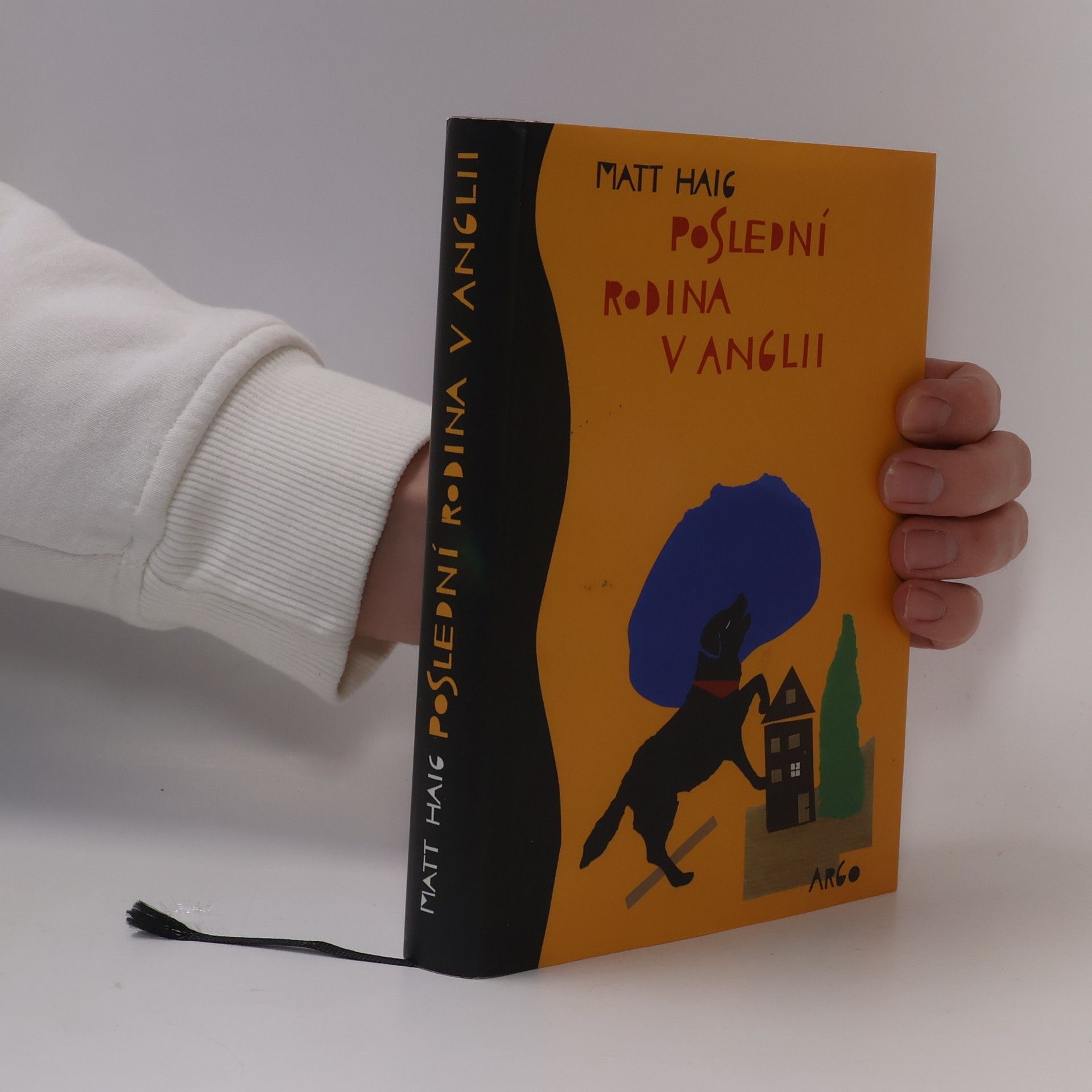 Matt Haig Poslední rodina v Anglii