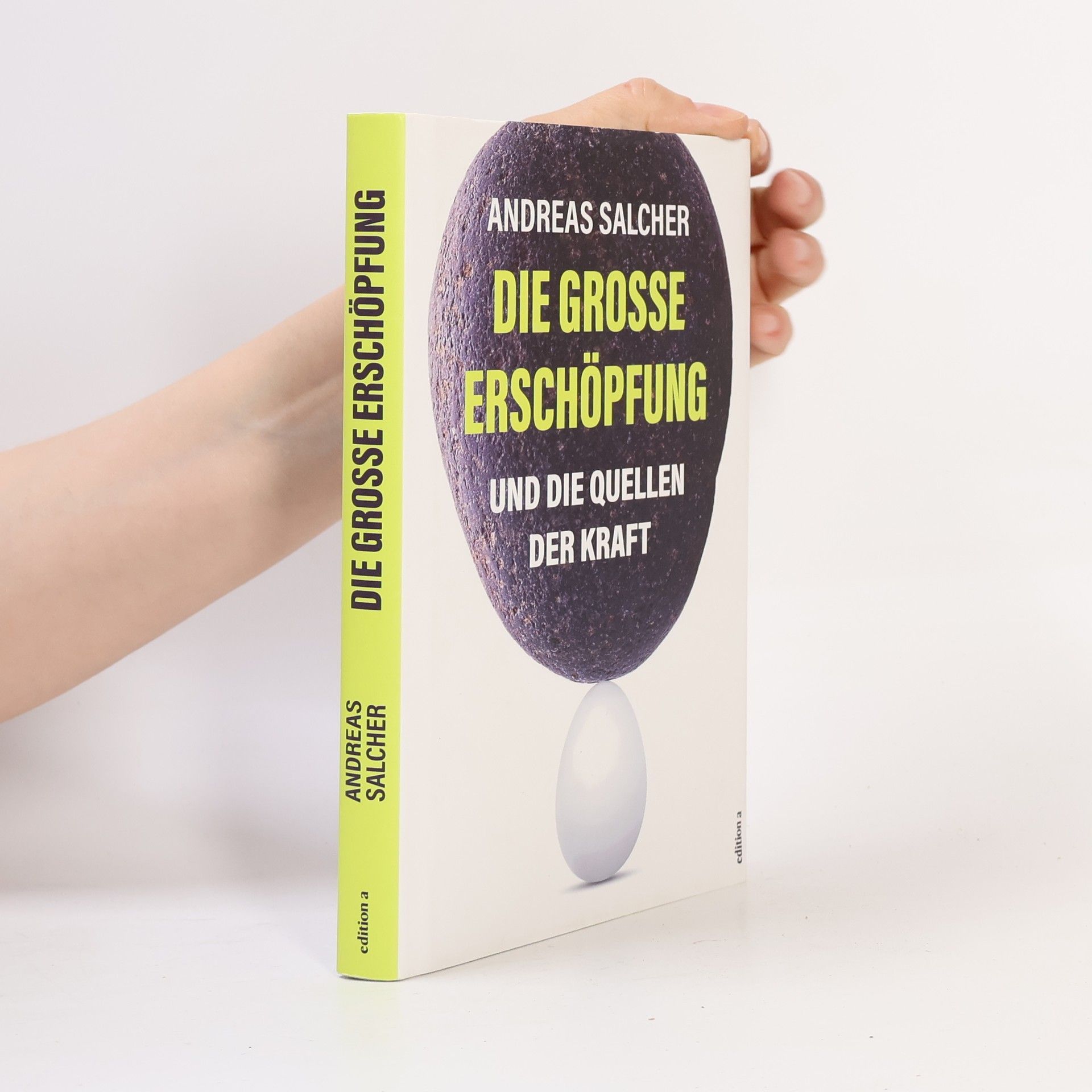 Andreas Salcher Die grosse Erschöpfung und die Quellen der Kraft