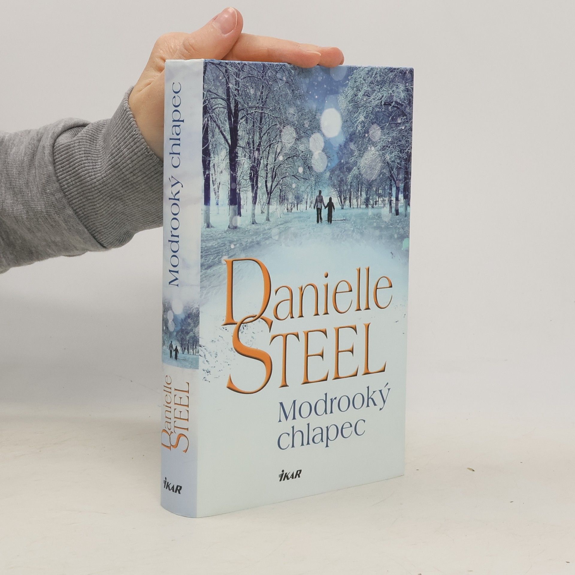 Danielle Steel Modrooký chlapec