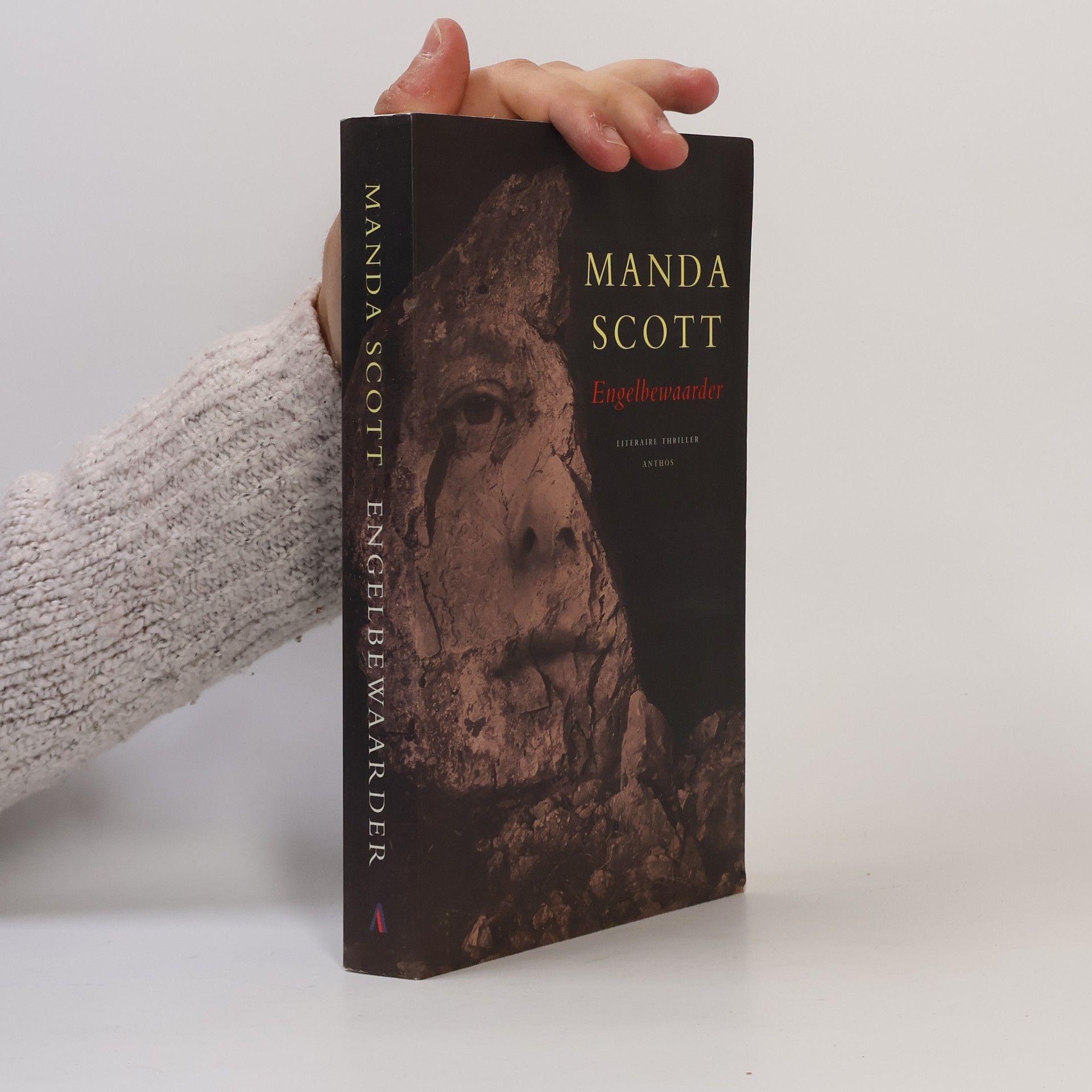 Manda Scott Engelbewaarder