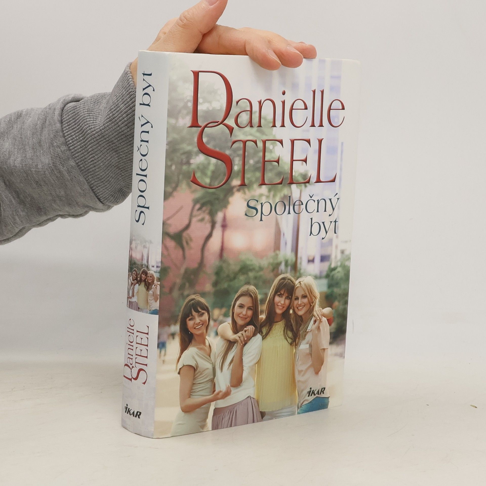Danielle Steel Společný byt