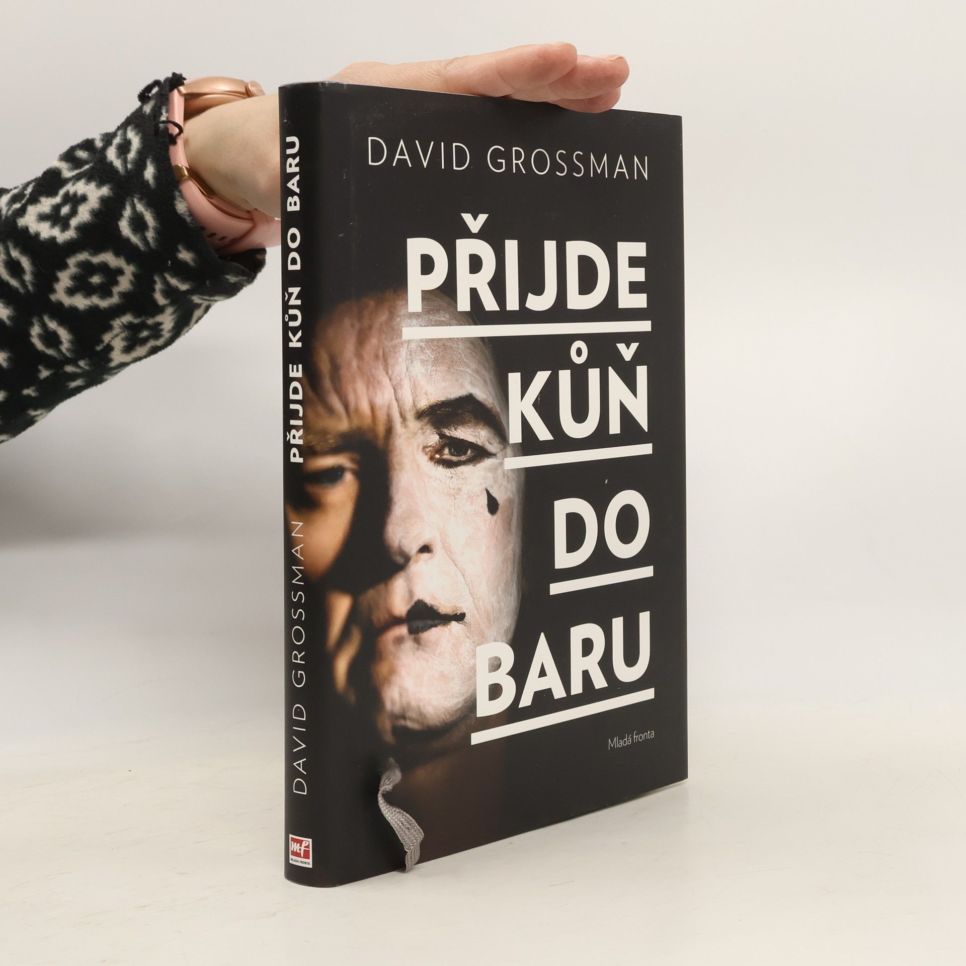David Grossman Přijde kůň do baru
