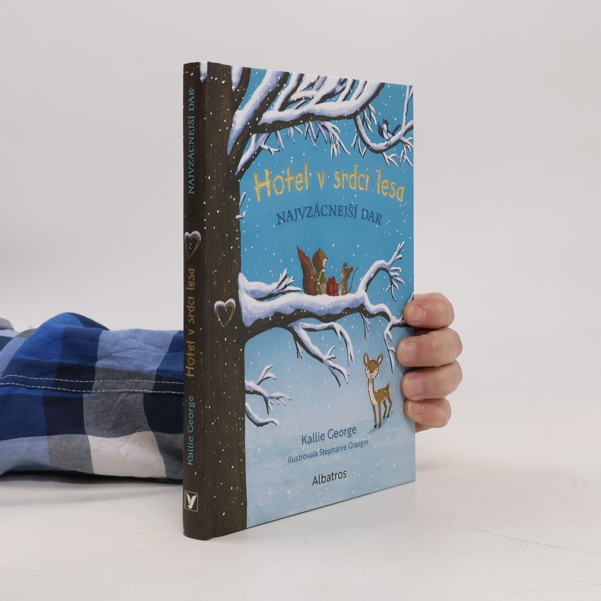 Kallie George Hotel v srdci lesa. Nejvzácnější dar