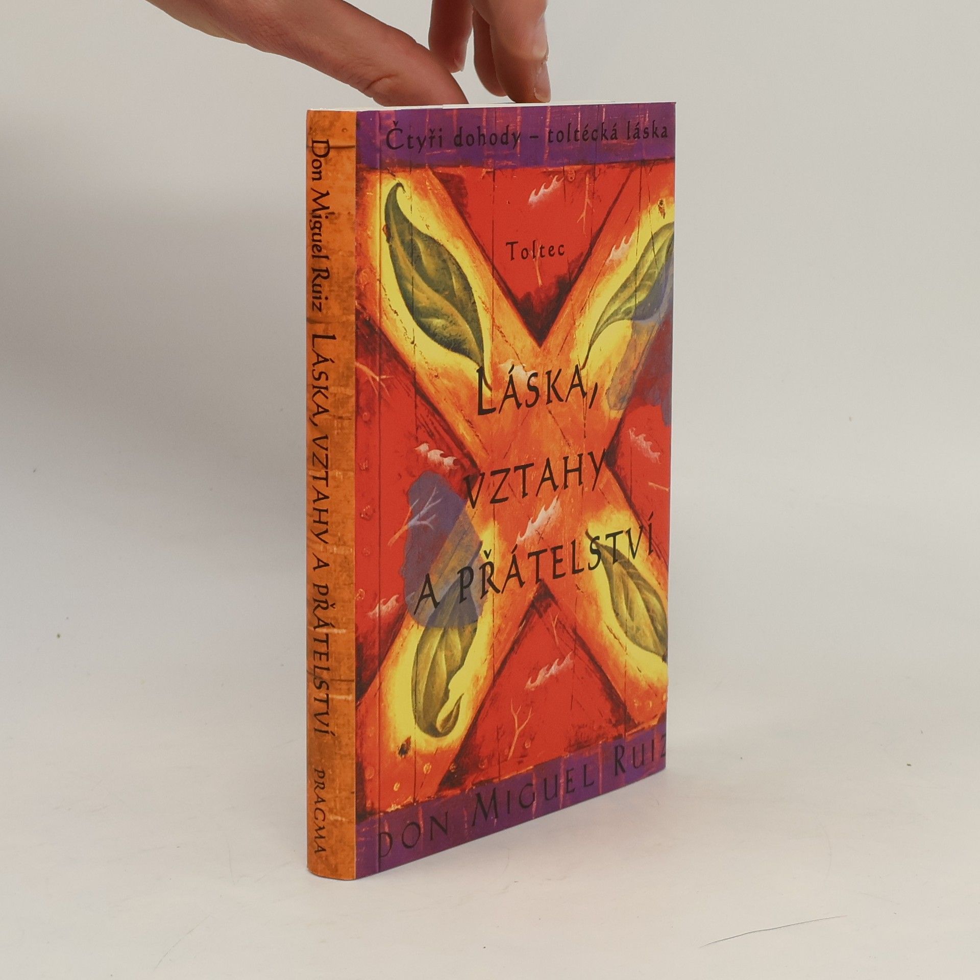 Don Miguel Ruiz Láska, vztahy a přátelství