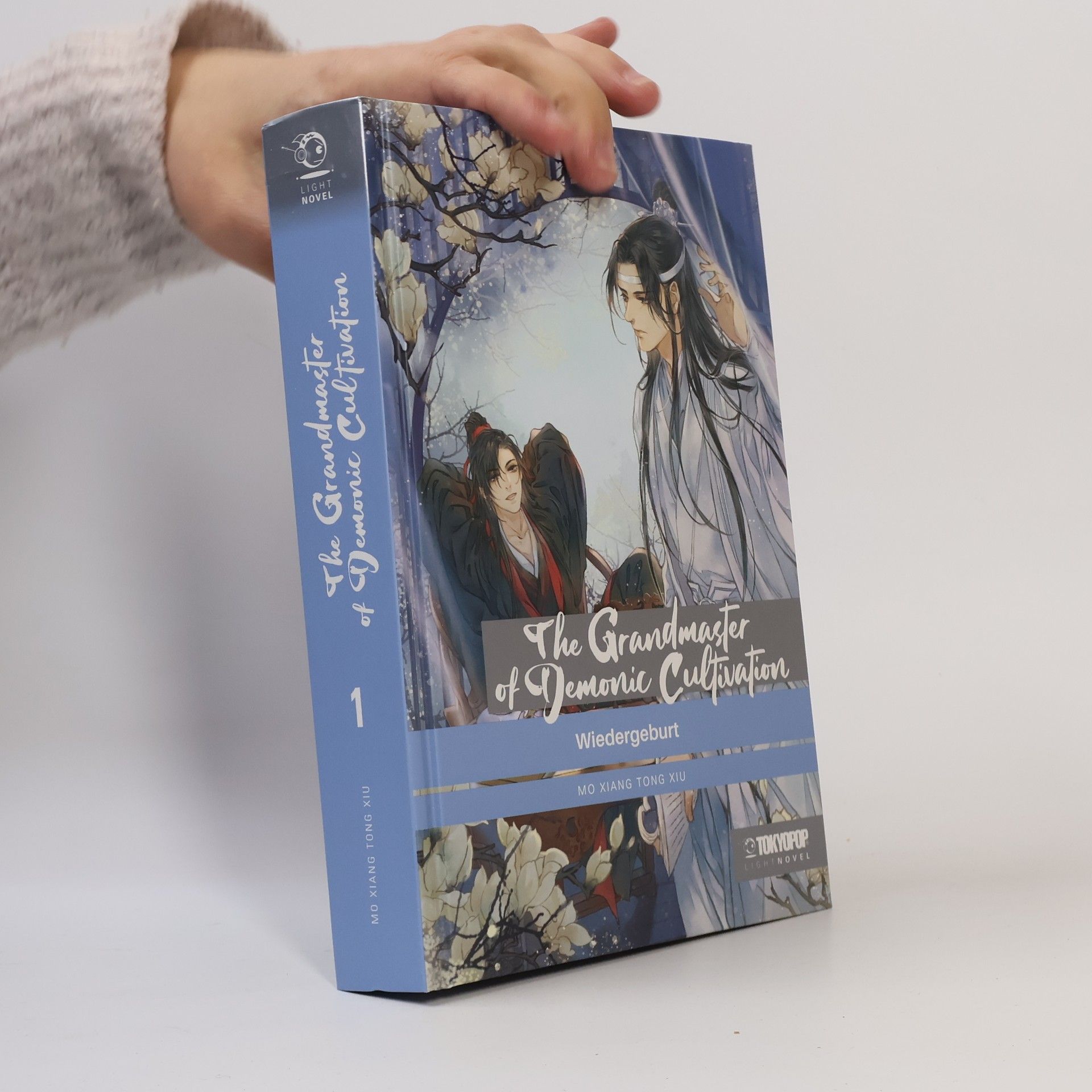 Mo Xiang Tong Xiu The Grandmaster of Demonic Cultivation