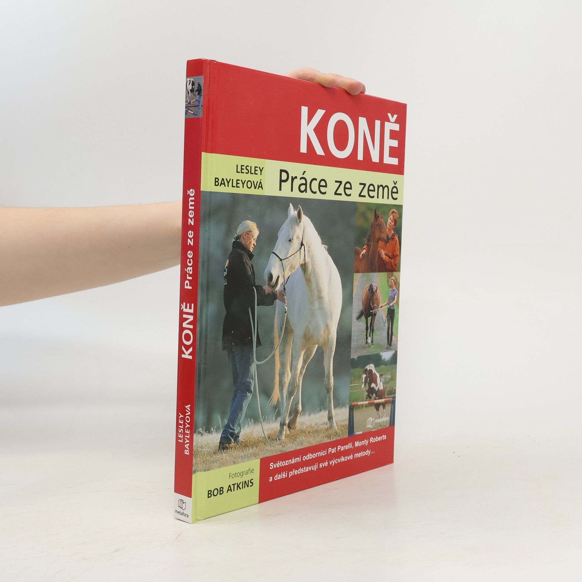 Lesley Bayley Koně. Práce ze země