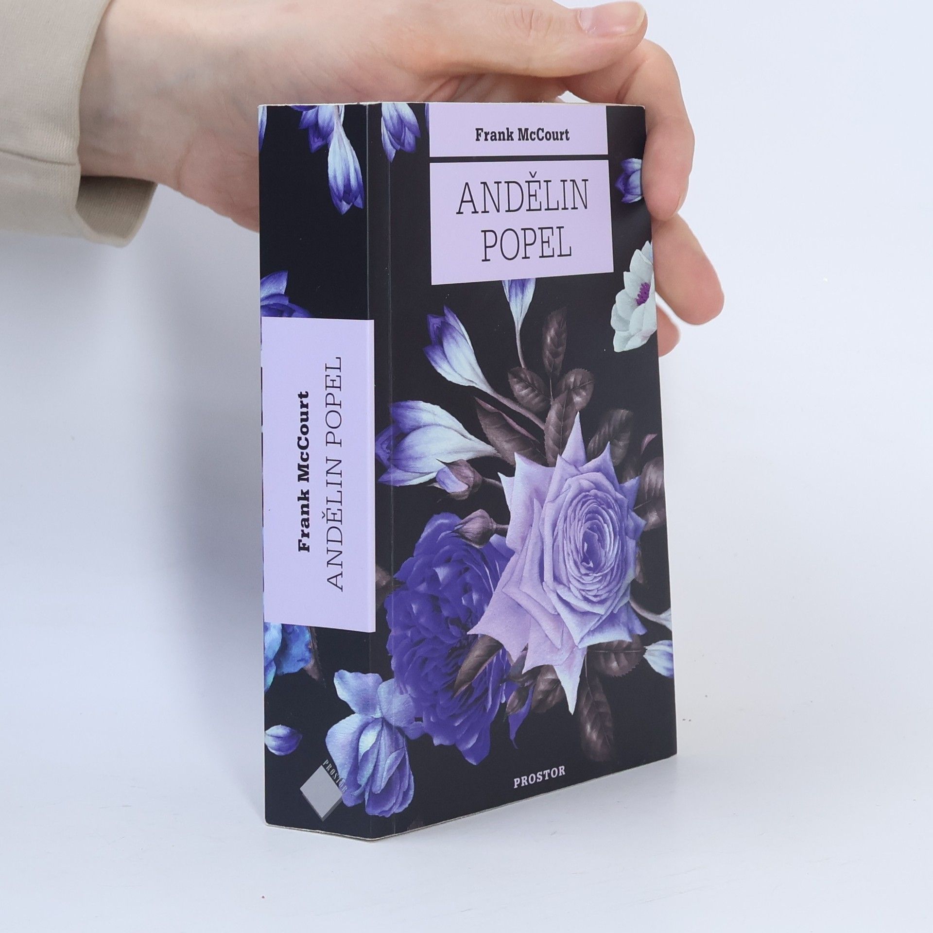 Frank McCourt Andělin popel